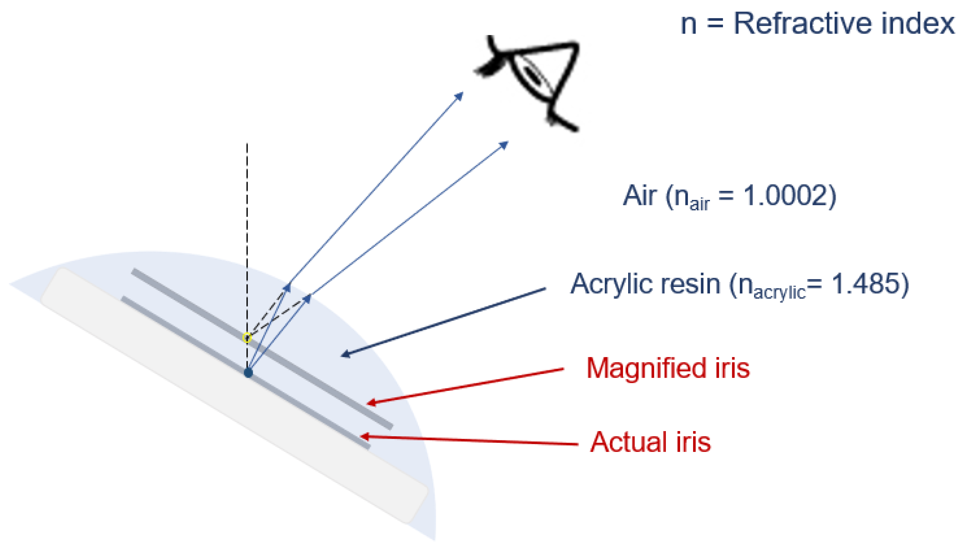 Jfb 13 00029 g005 Jfb 13 00029 g005