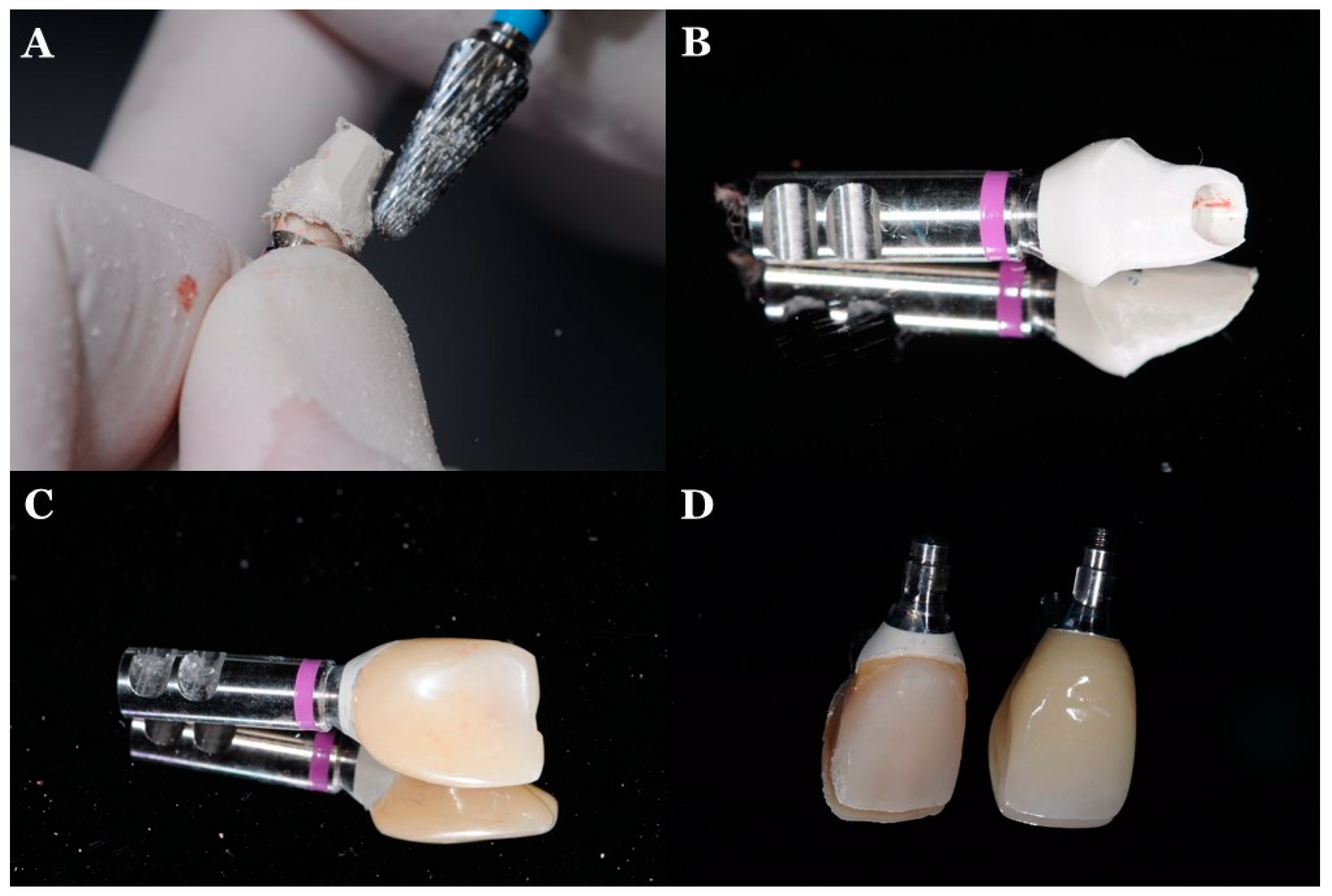 Jfb 13 00033 g005 550