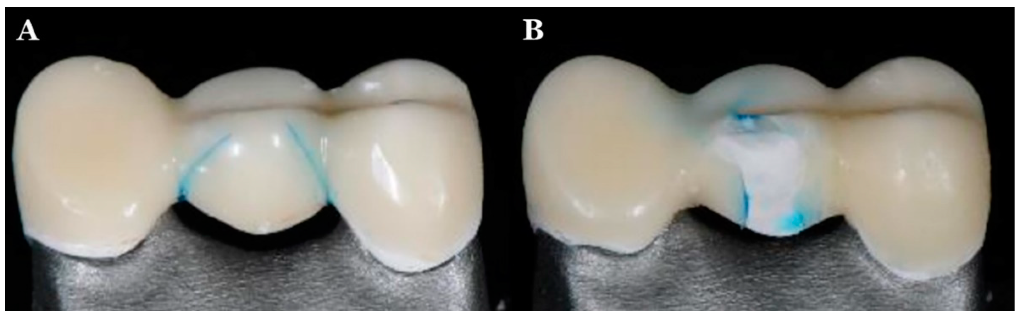 Jfb 13 00033 g006 550