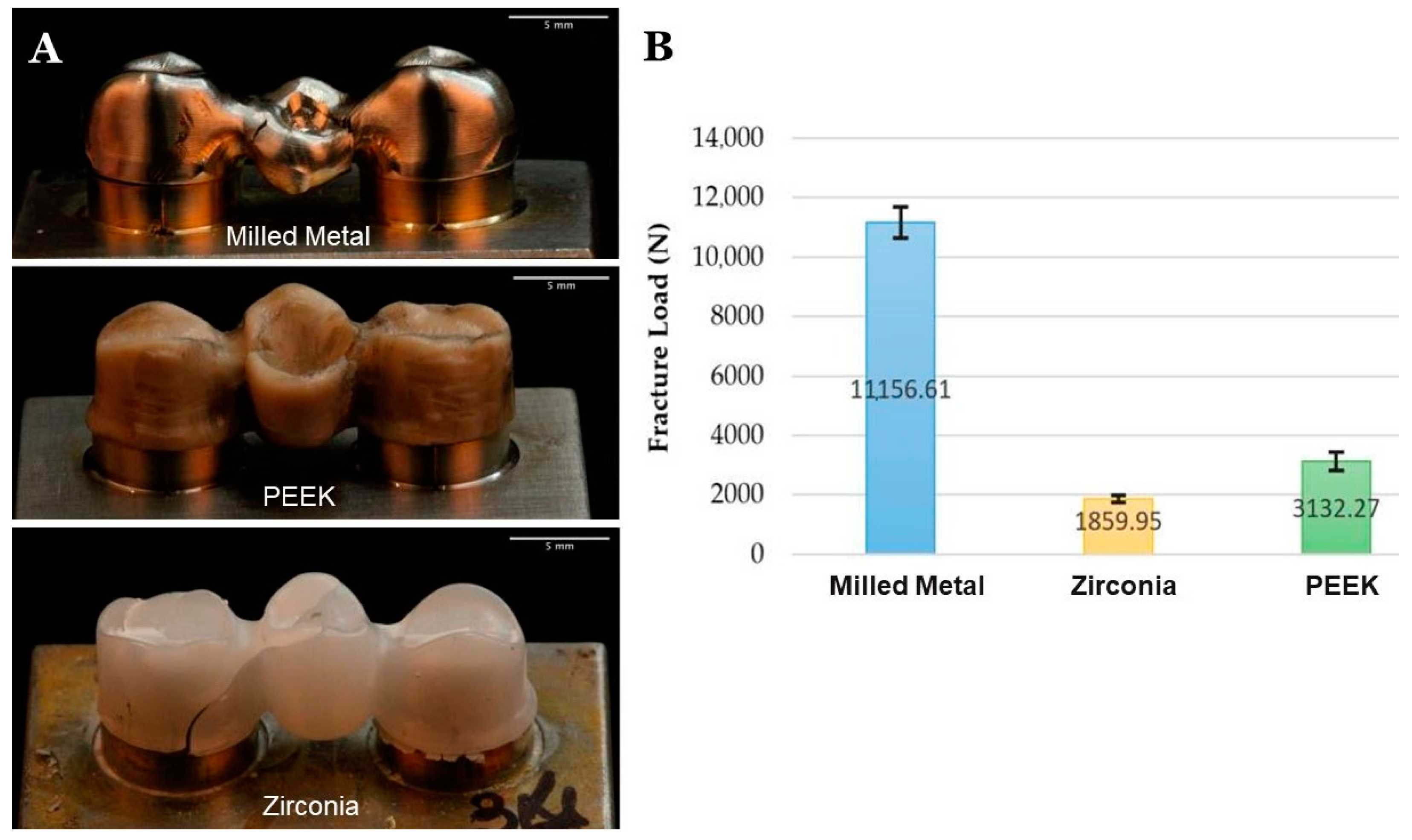 Jfb 13 00033 g007 550