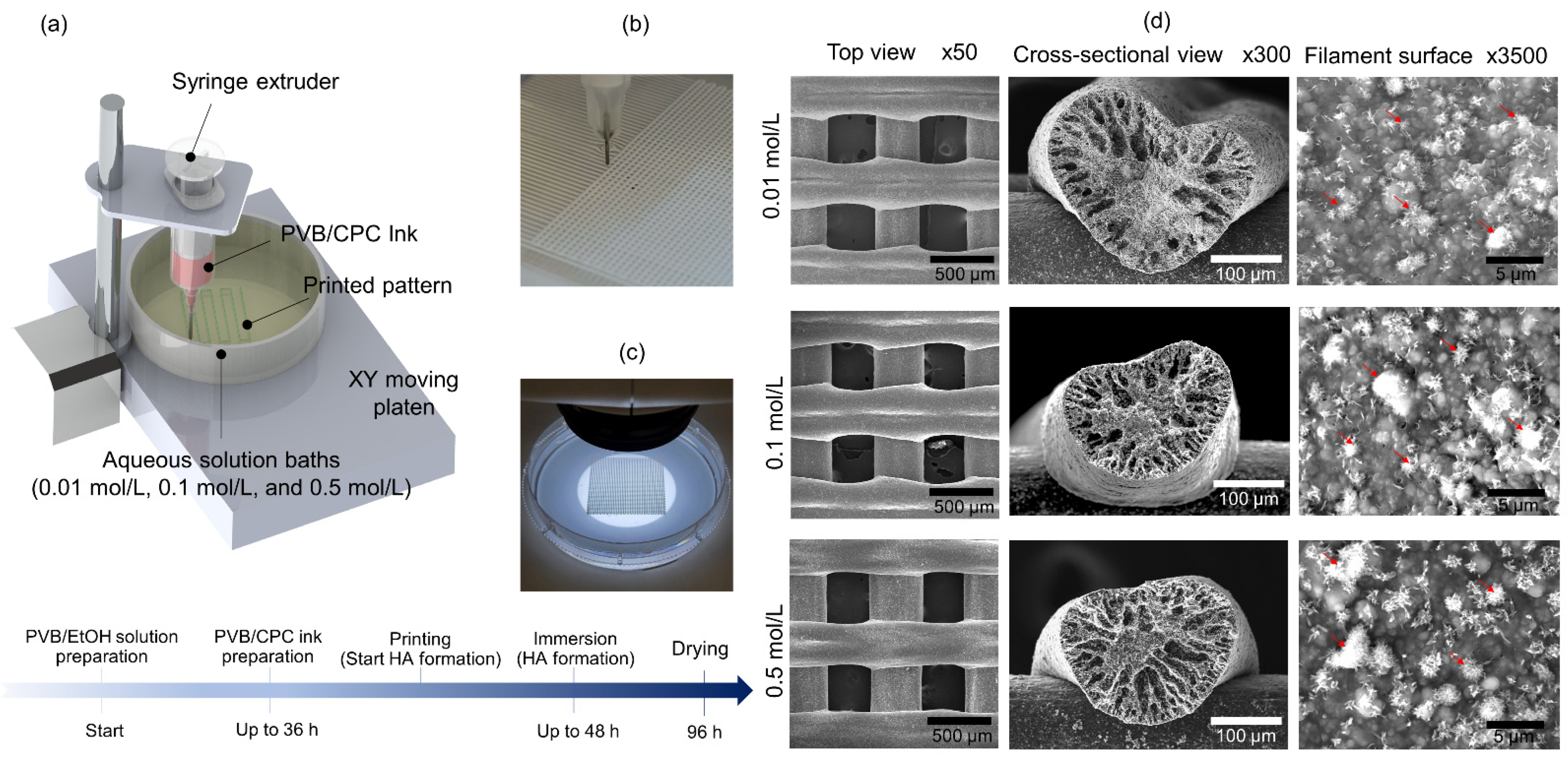 Jfb 13 00034 g001 550