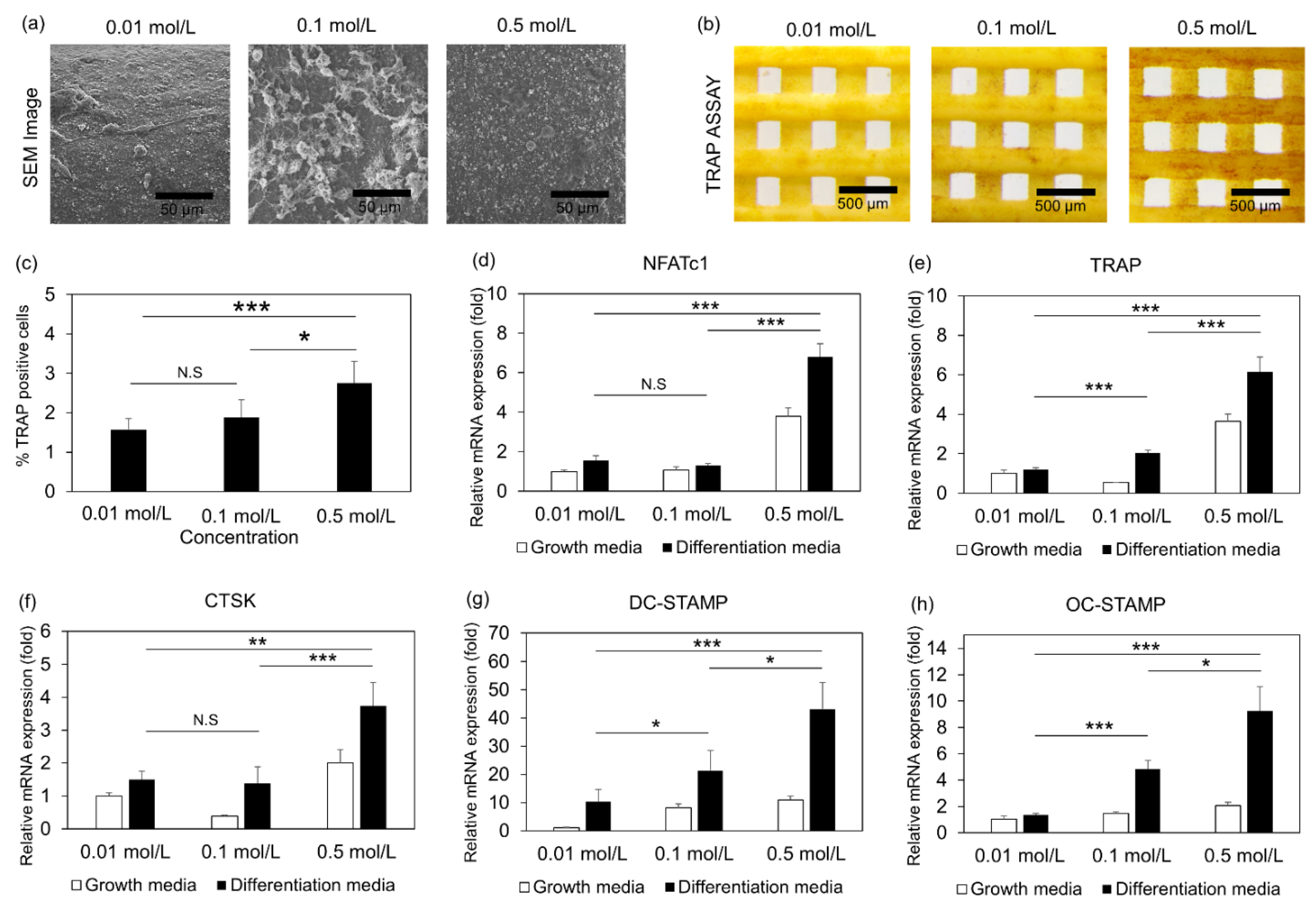Jfb 13 00034 g005 550