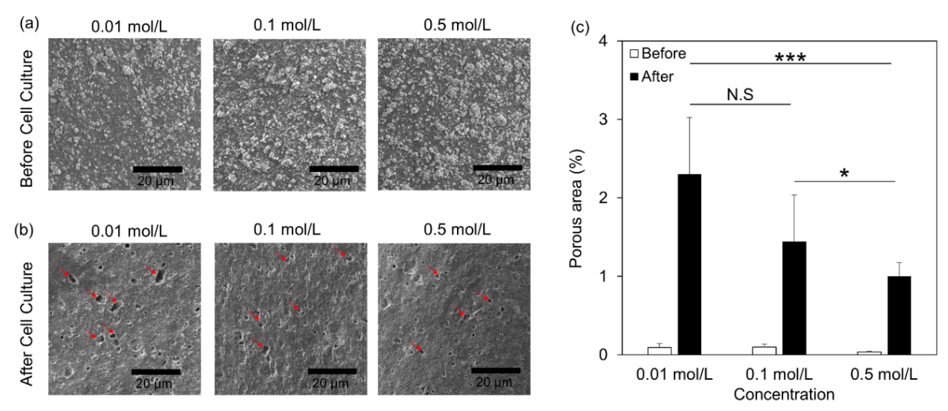 Jfb 13 00034 g006 550