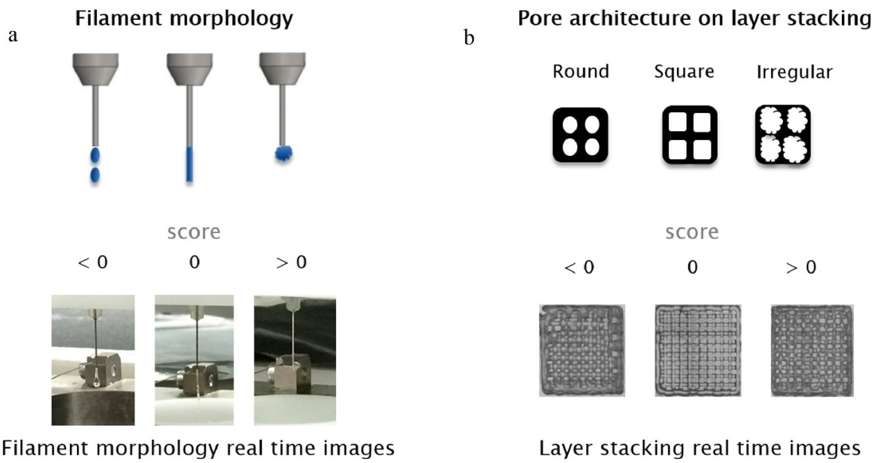 JFB Free FullText Printability and Cell Viability in Extrusion