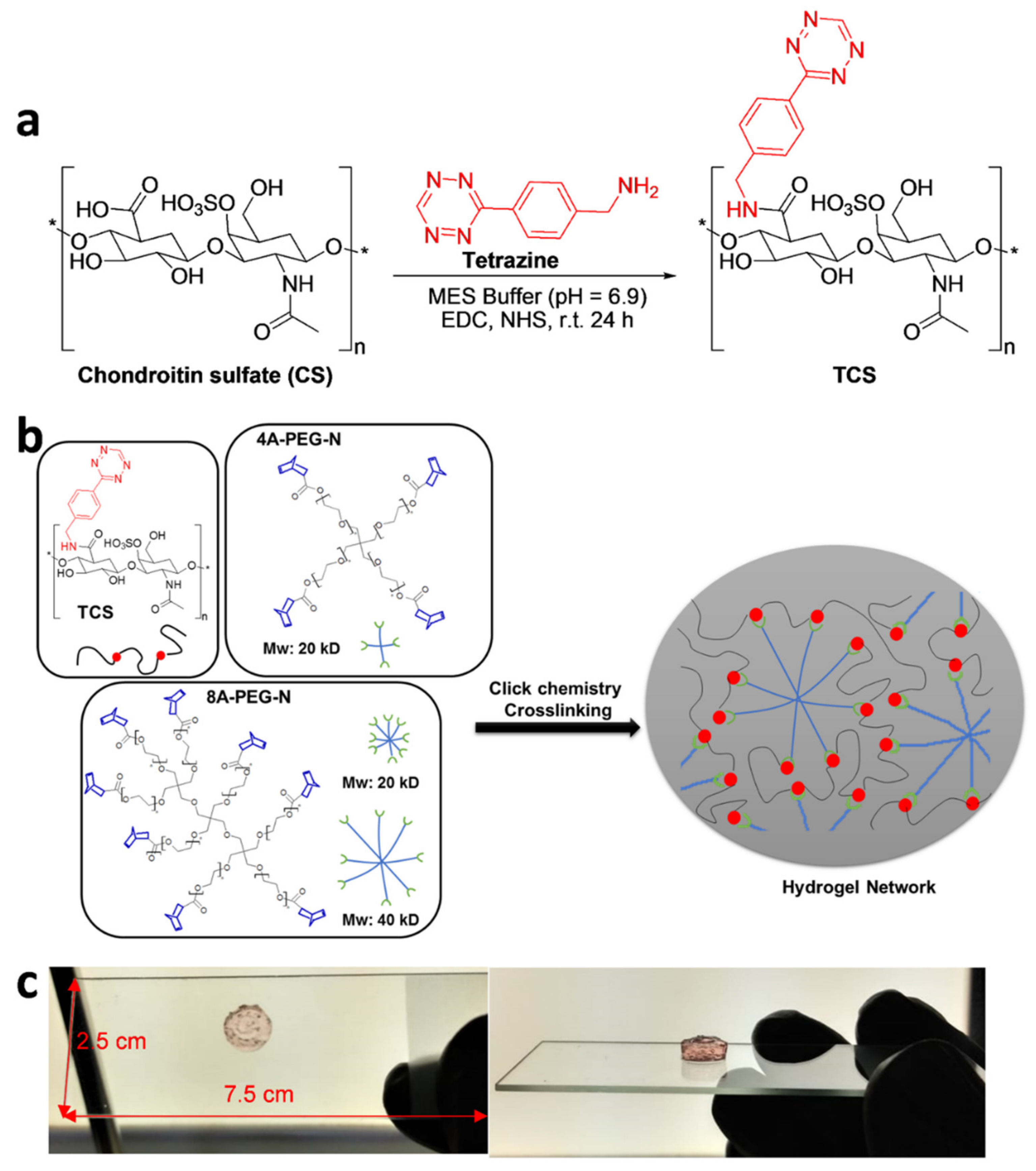 Jfb 13 00045 g001 550