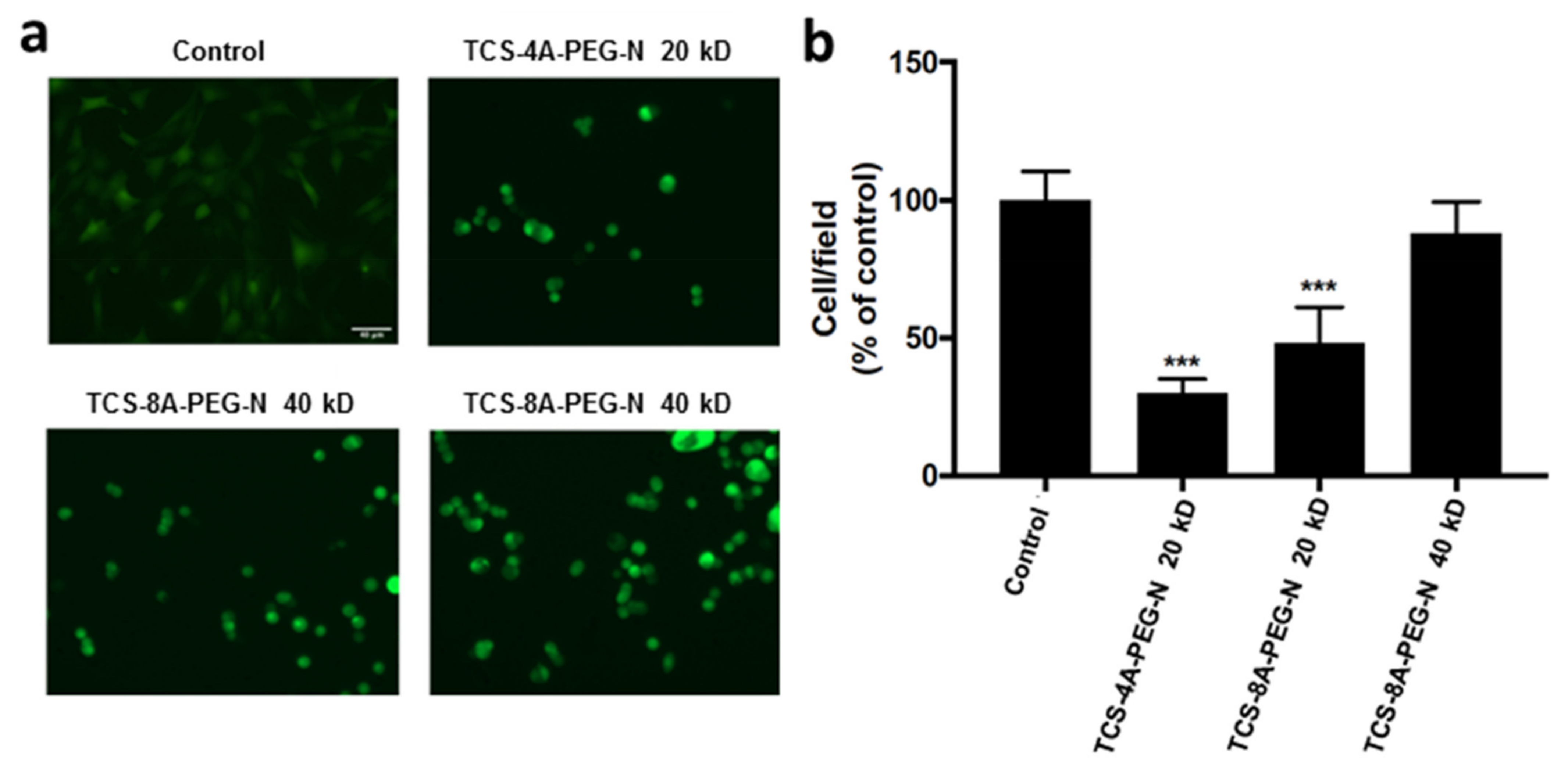 Jfb 13 00045 g004 550