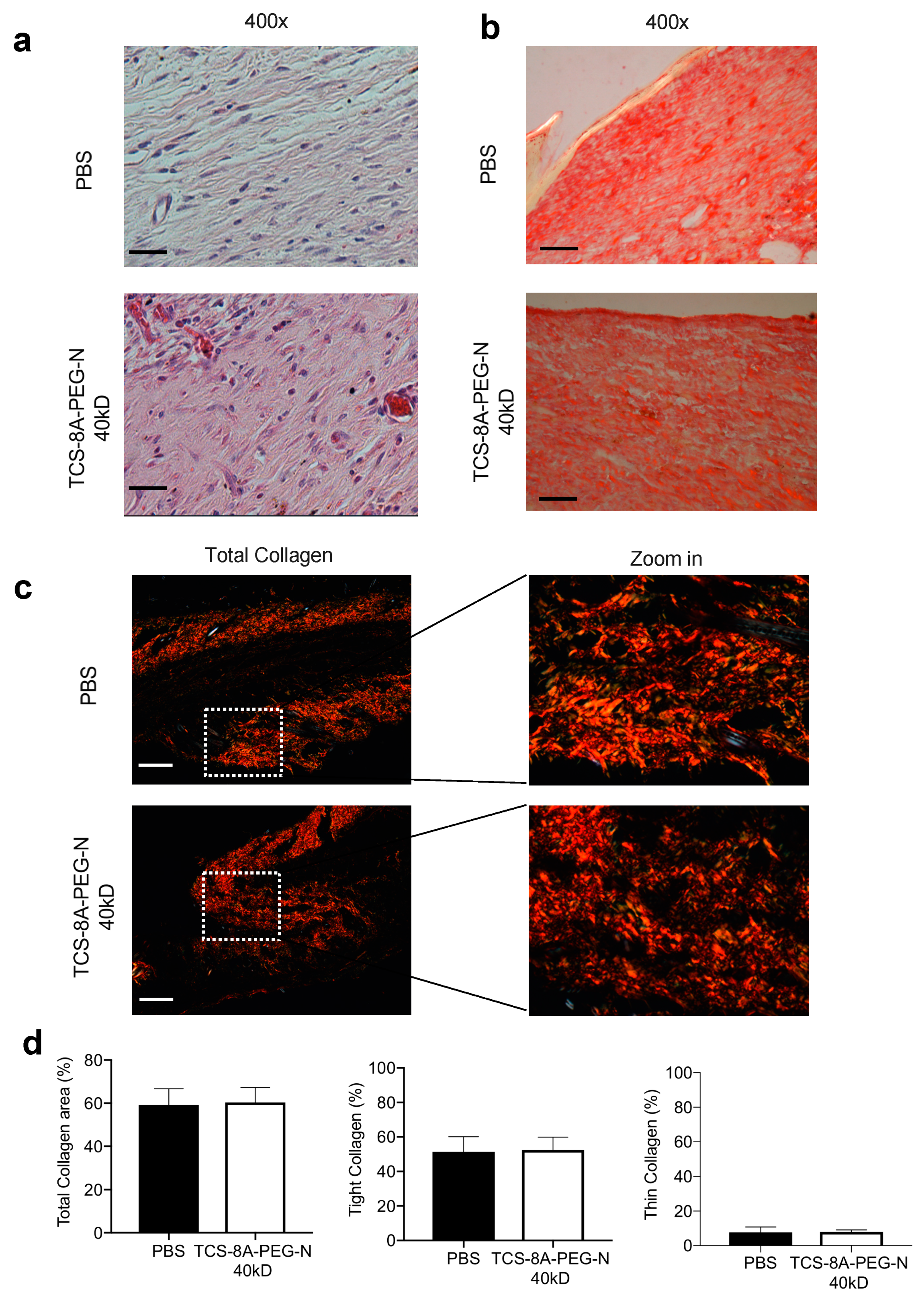 Jfb 13 00045 g006 550