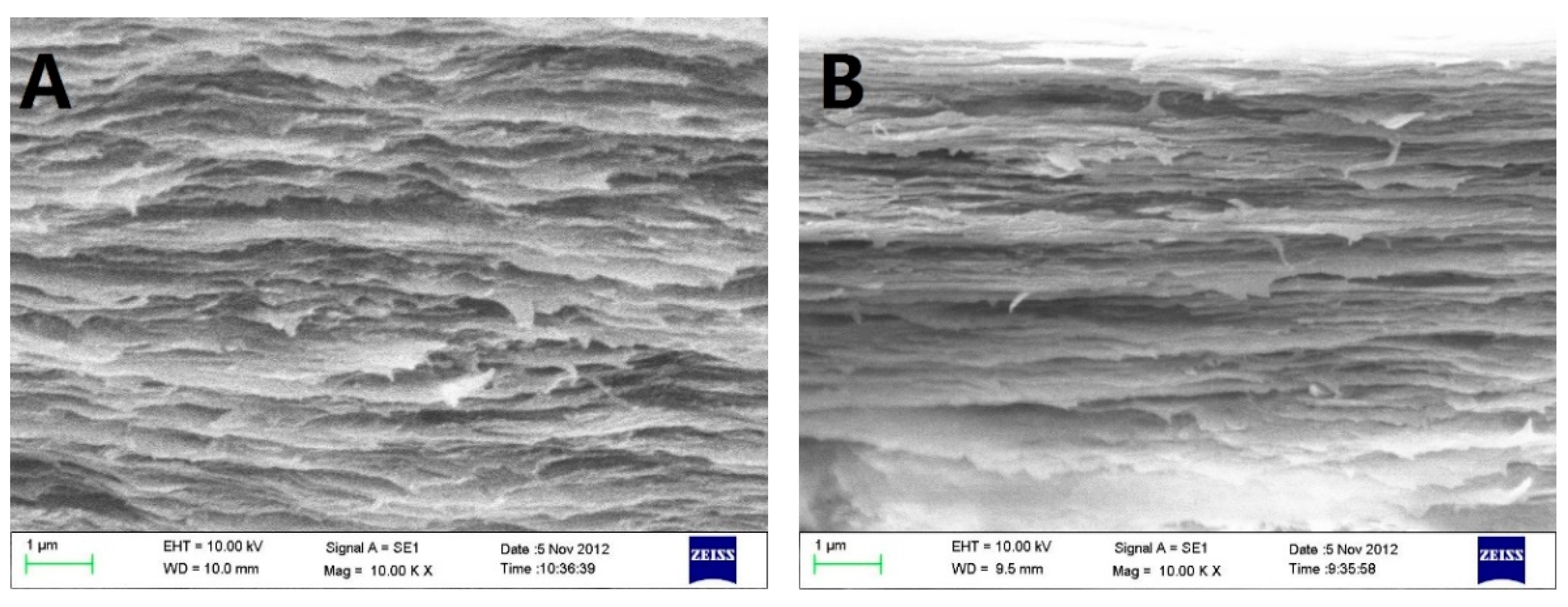 Jfb 13 00052 g001a 550