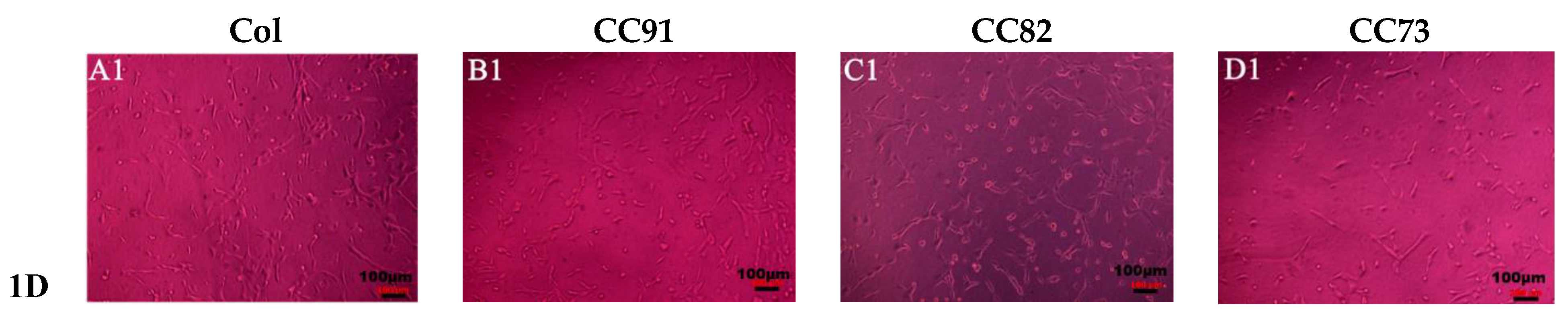 Jfb 13 00052 g007a 550