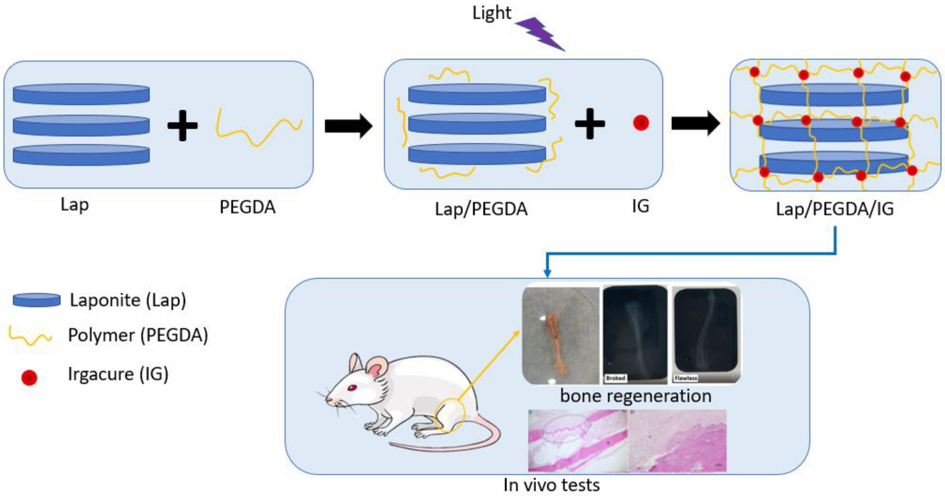 Jfb 13 00053 g001 Jfb 13 00053 g001