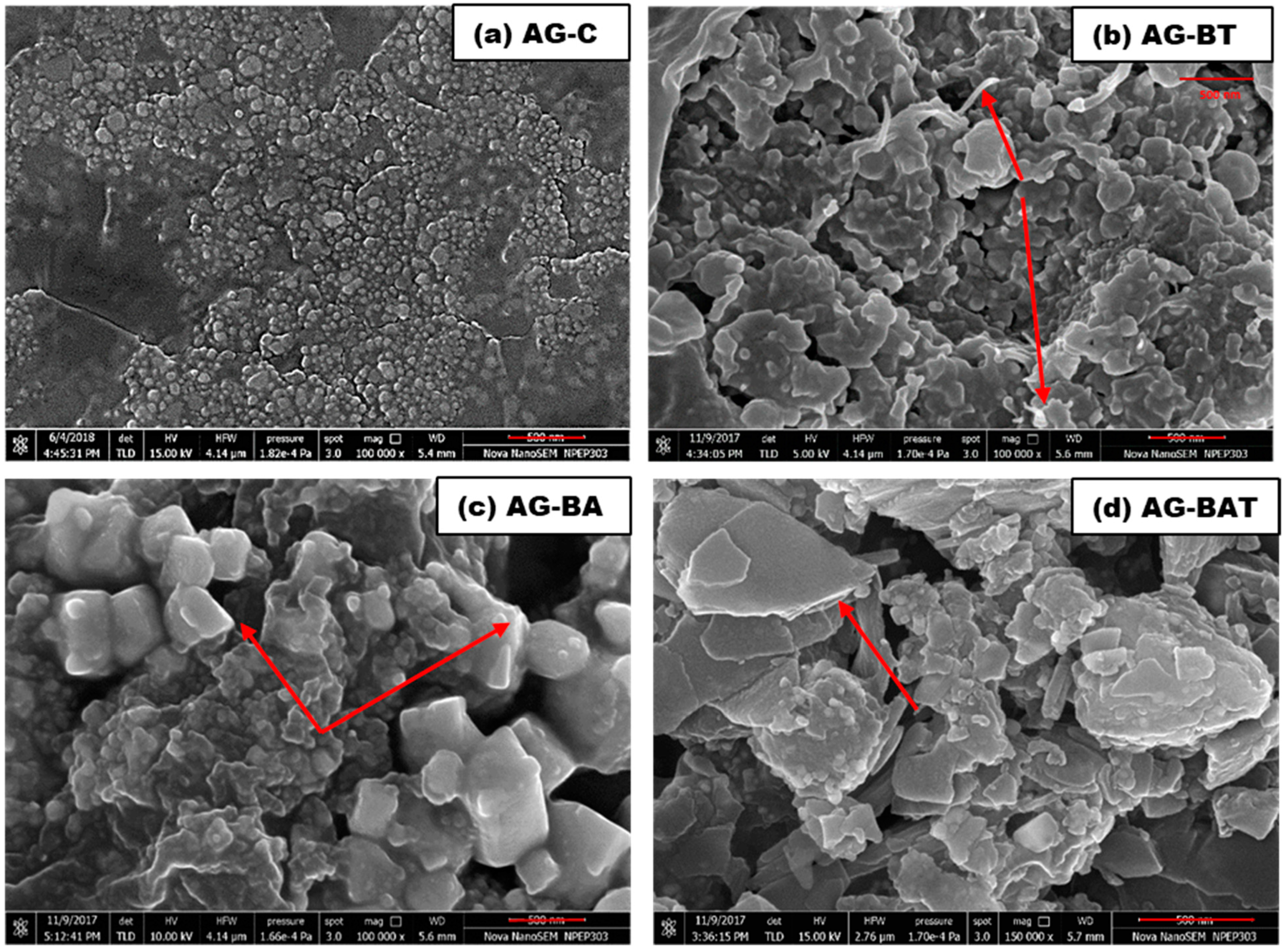 Jfb 13 00054 g003 Jfb 13 00054 g003