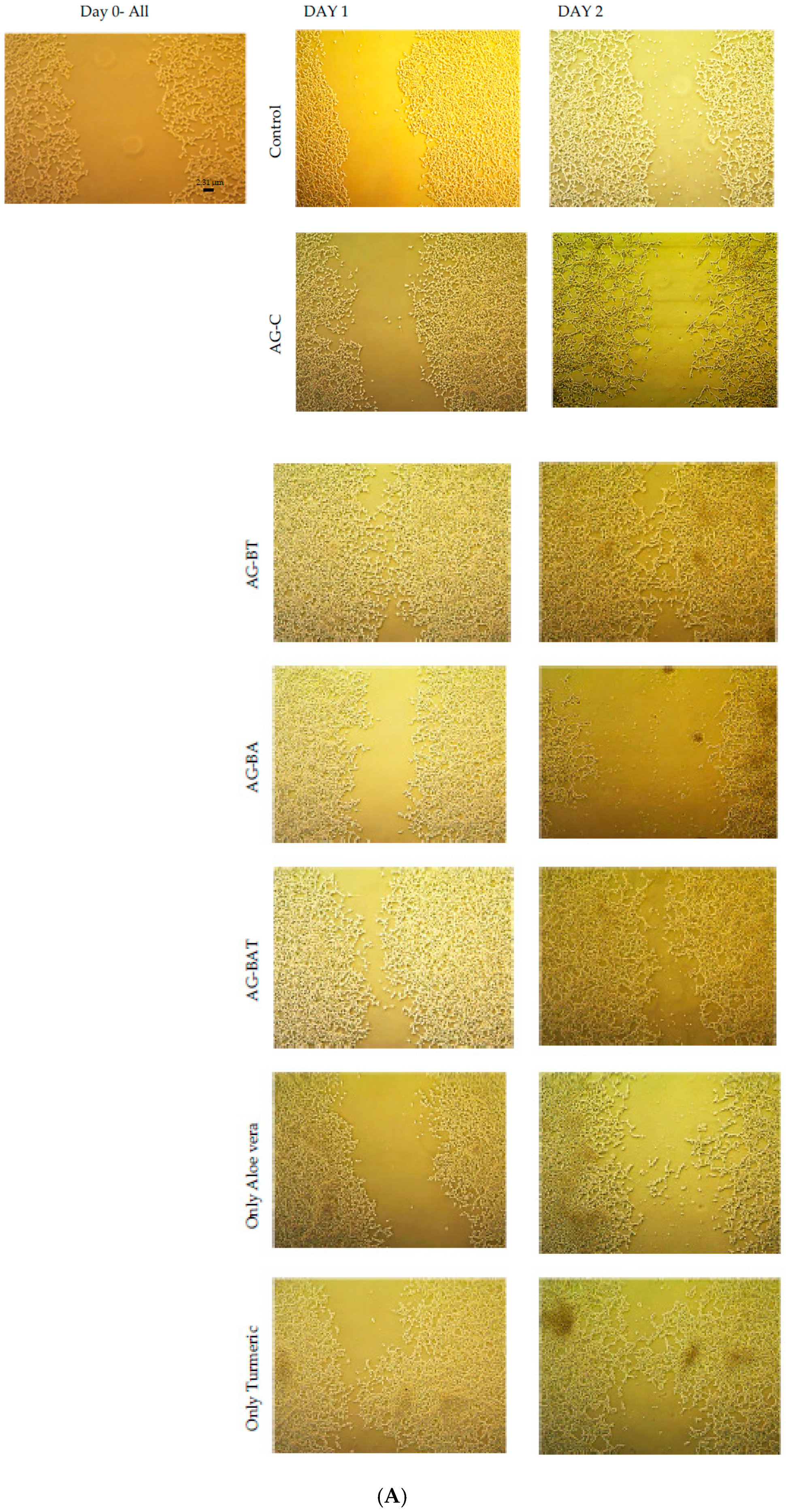 Jfb 13 00054 g005a Jfb 13 00054 g005a