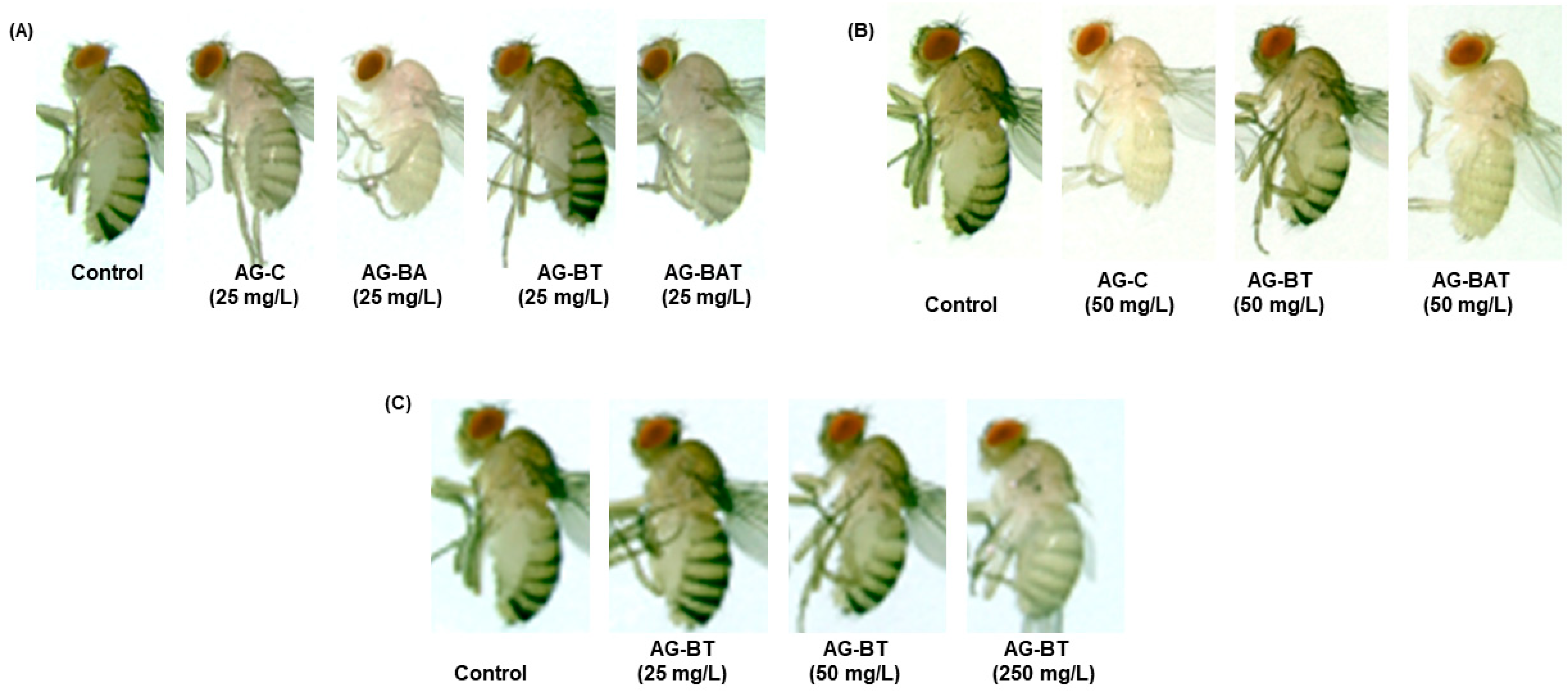 Jfb 13 00054 g007 Jfb 13 00054 g007