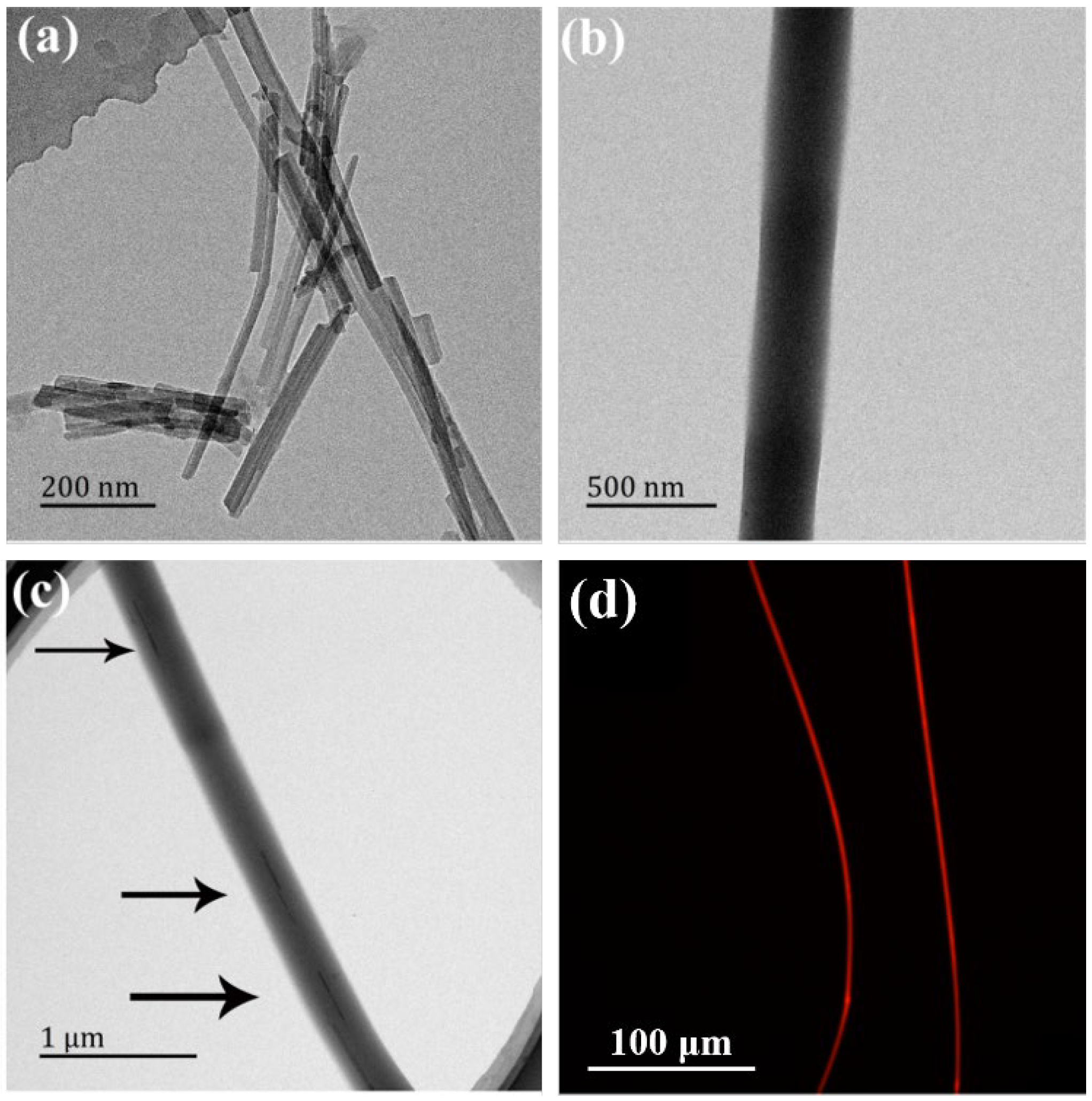 Jfb 13 00055 g003 550