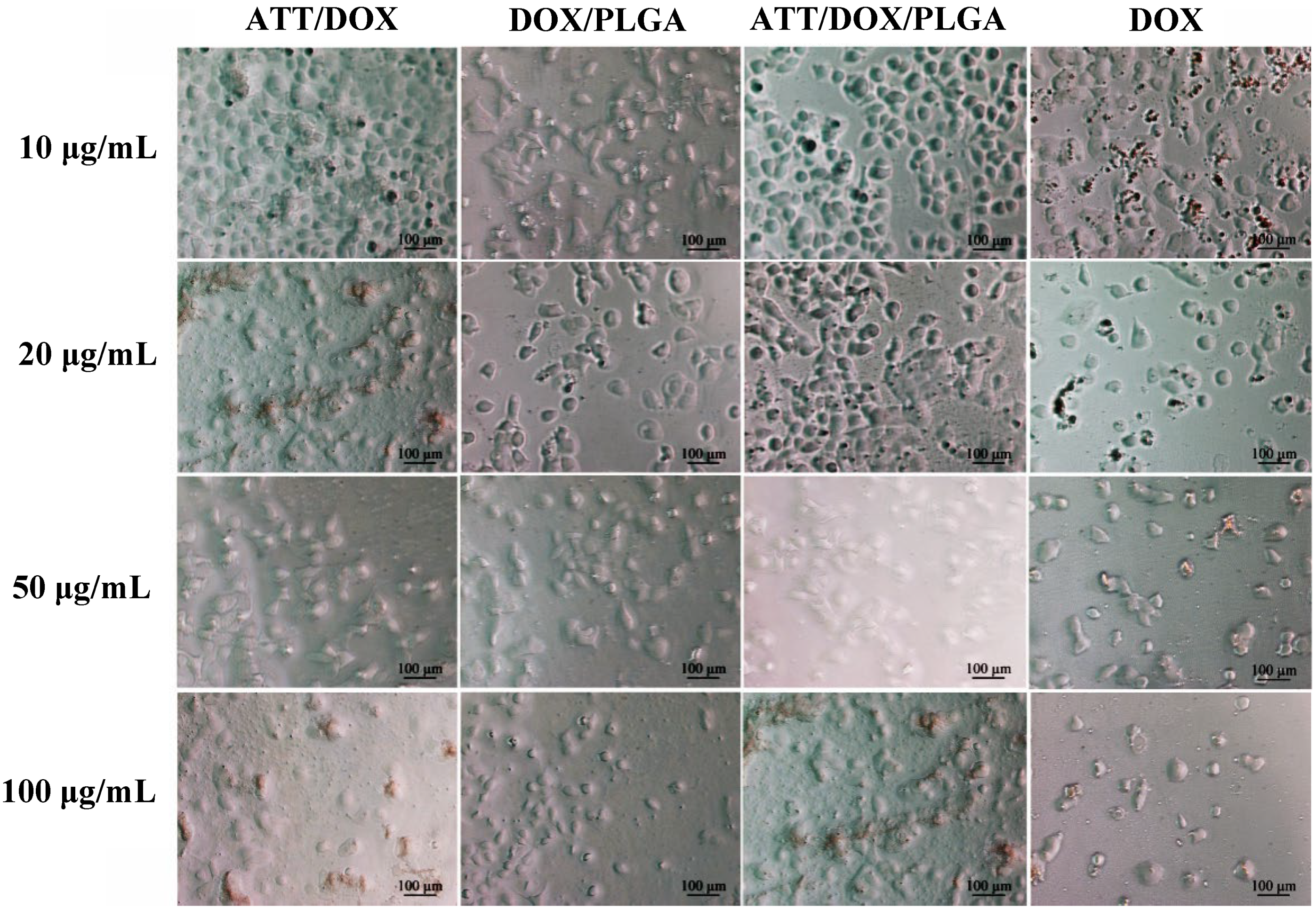 Jfb 13 00055 g008 550