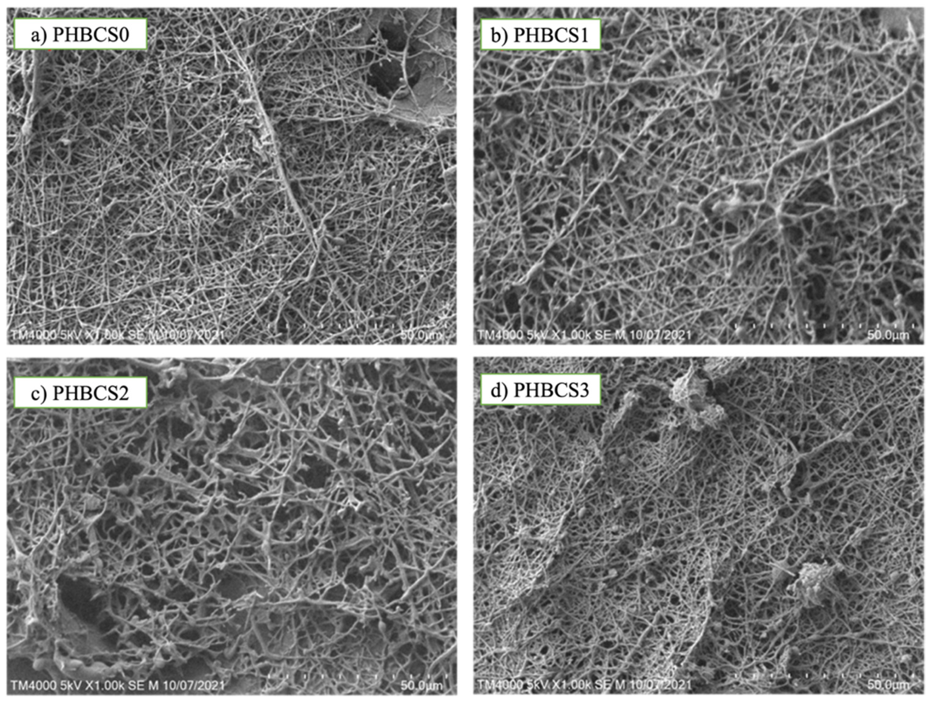 Jfb 13 00058 g002 550