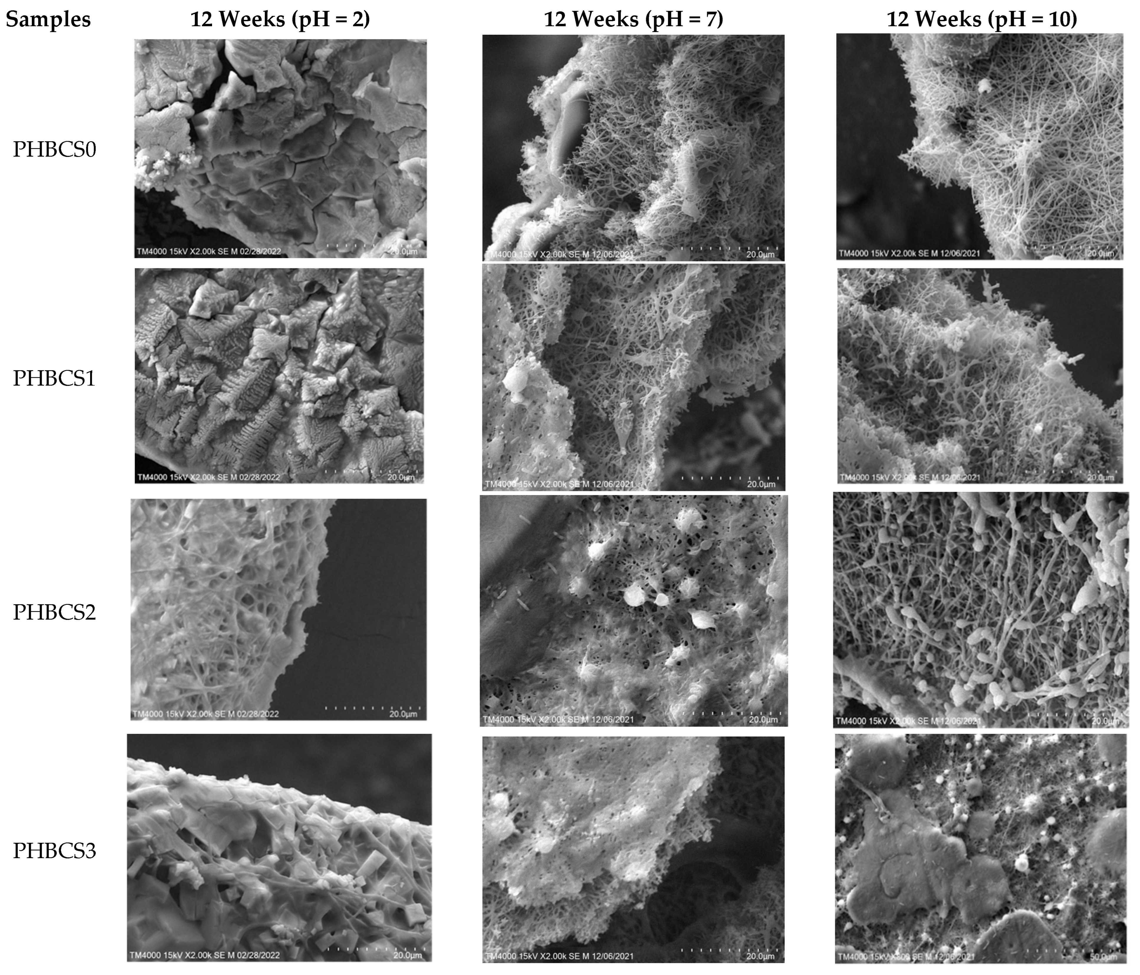 Jfb 13 00058 g008 550