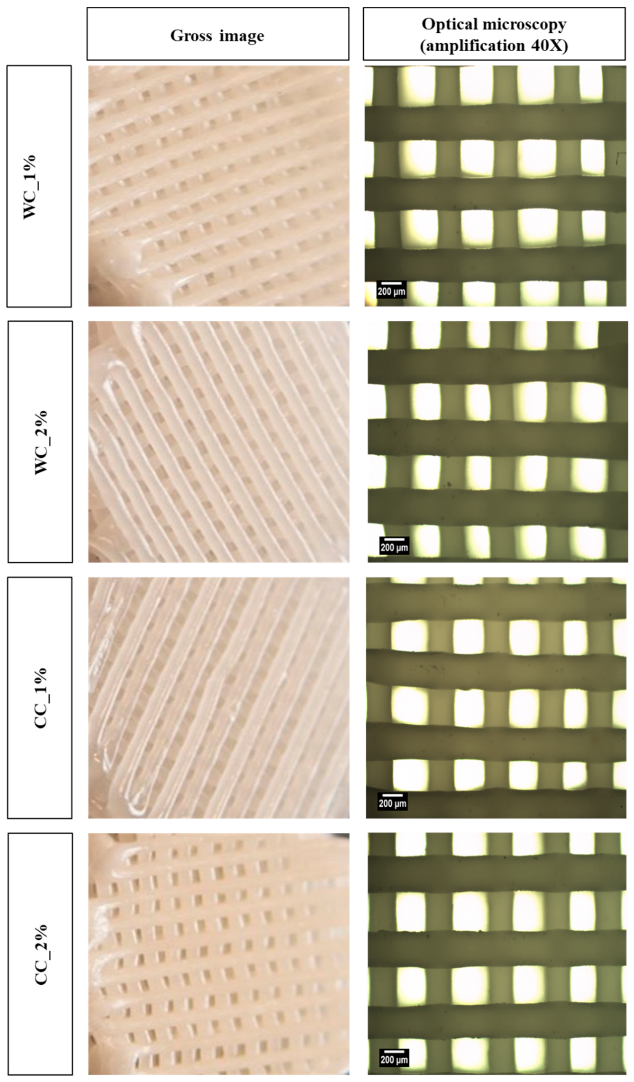 Jfb 13 00063 g003 550