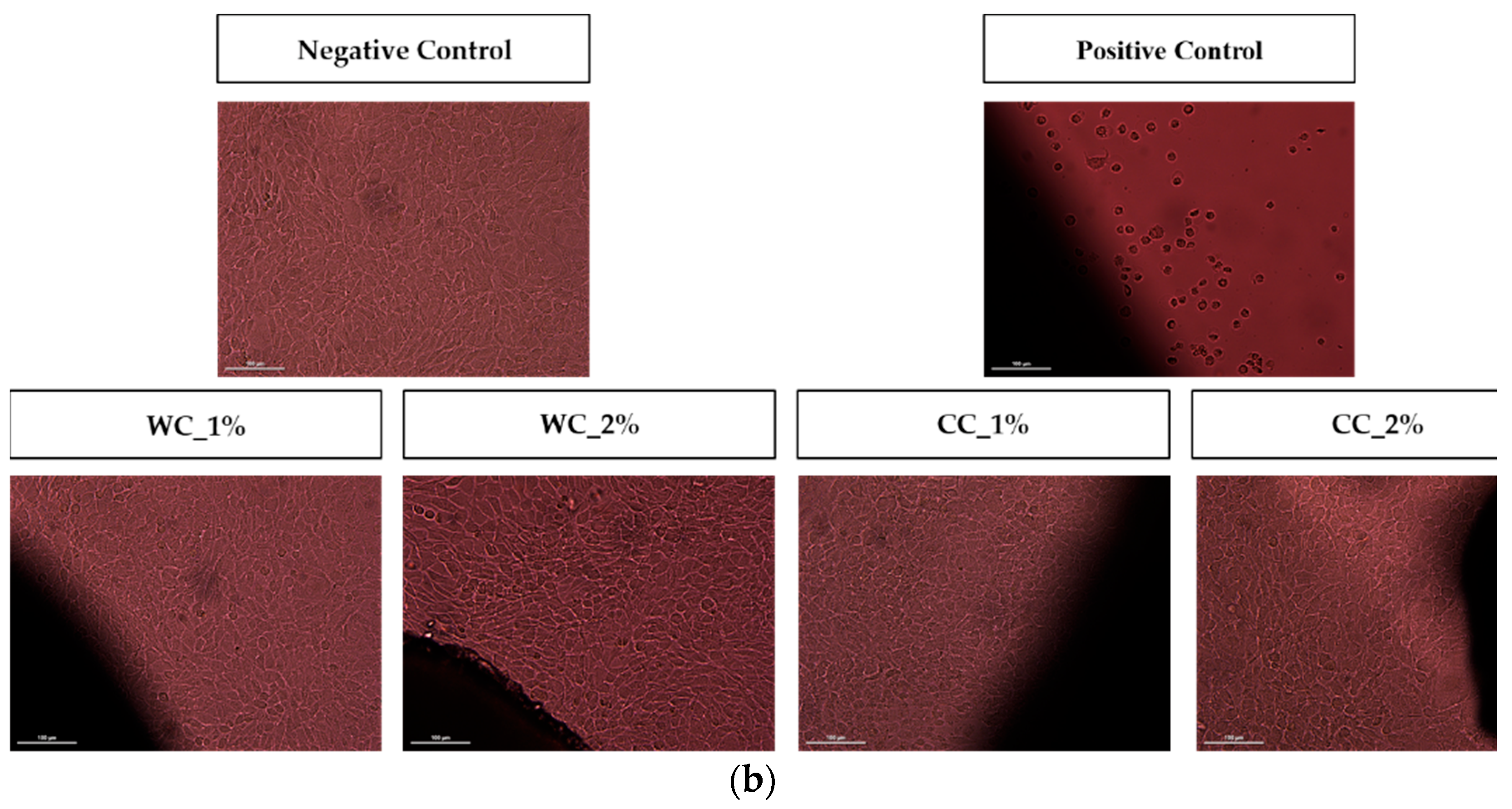 Jfb 13 00063 g007b 550