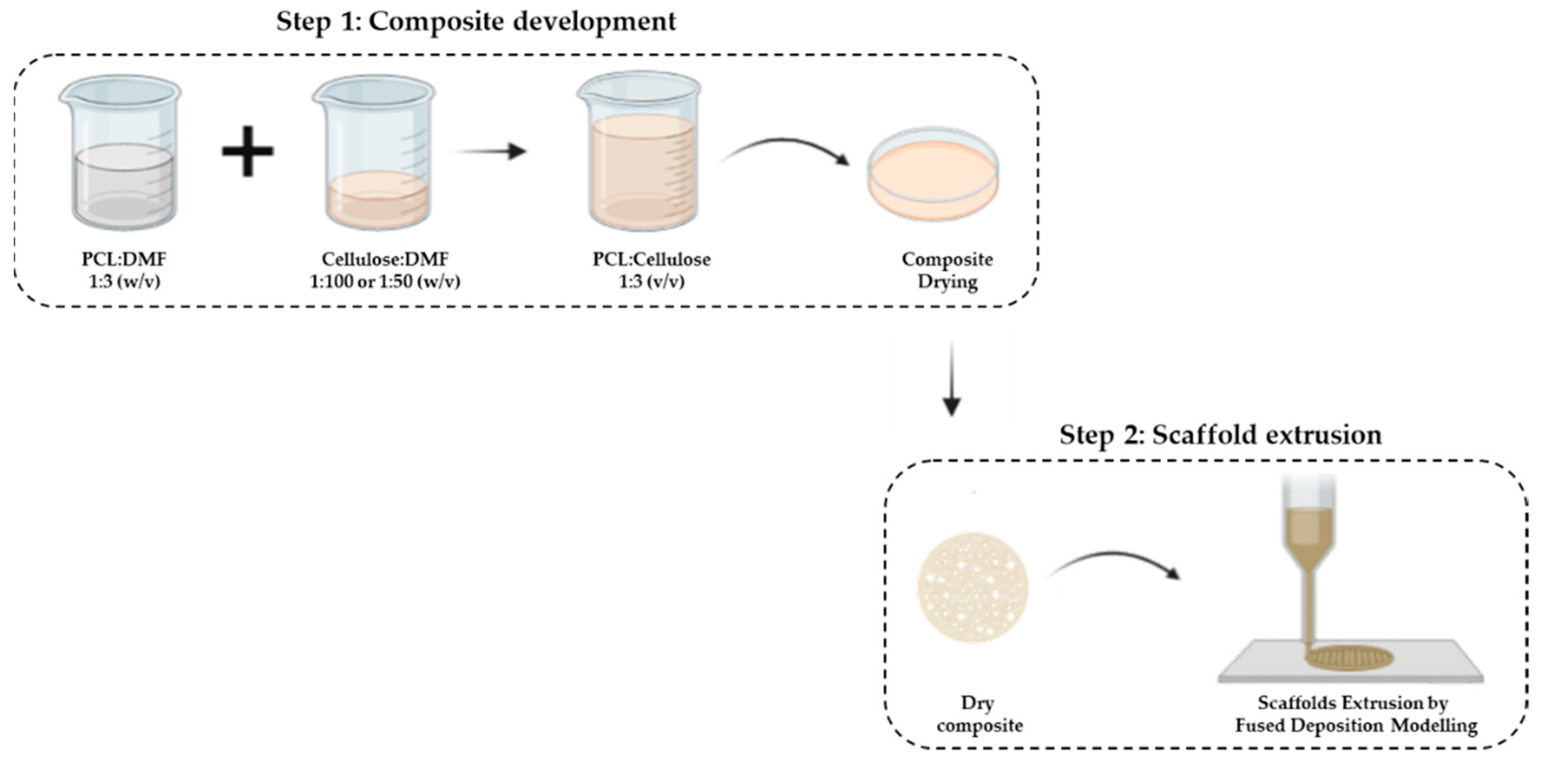 Jfb 13 00063 sch001 550
