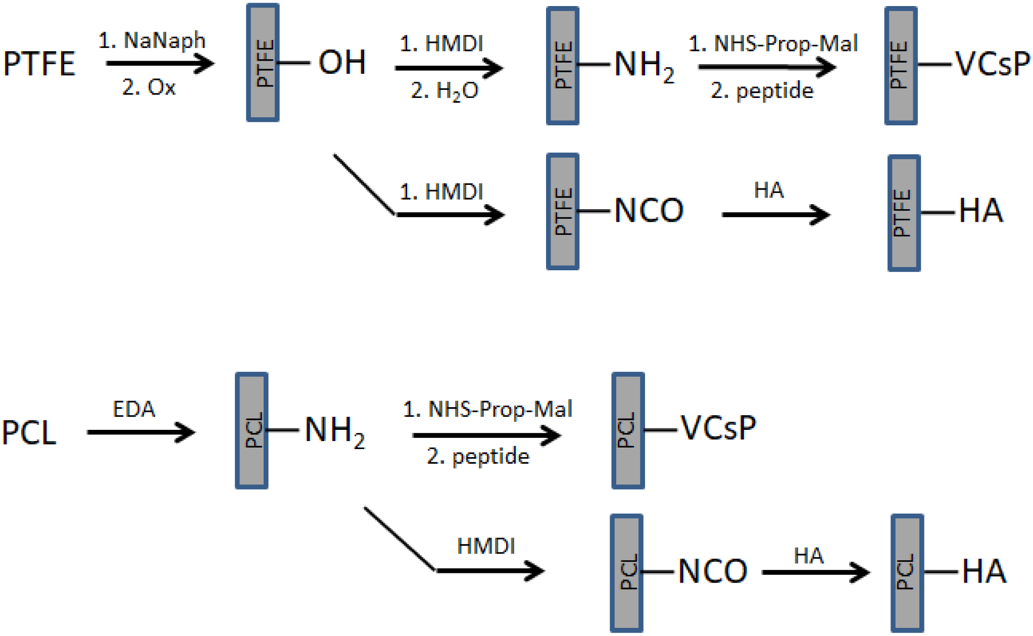 Jfb 13 00070 g001 550