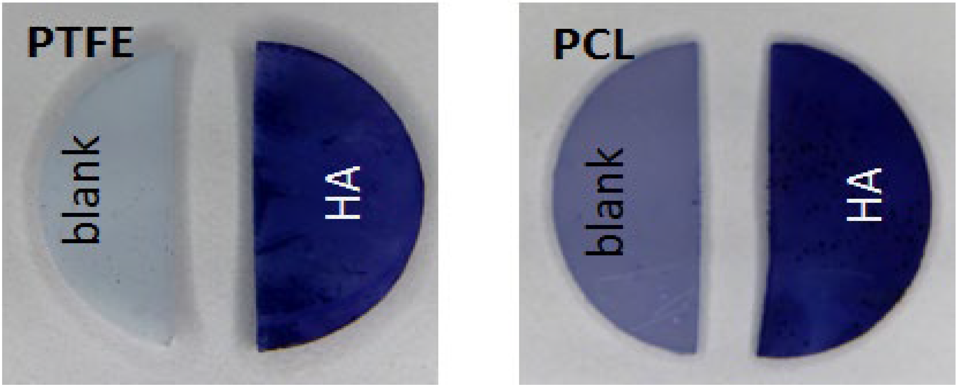 Jfb 13 00070 g002 550