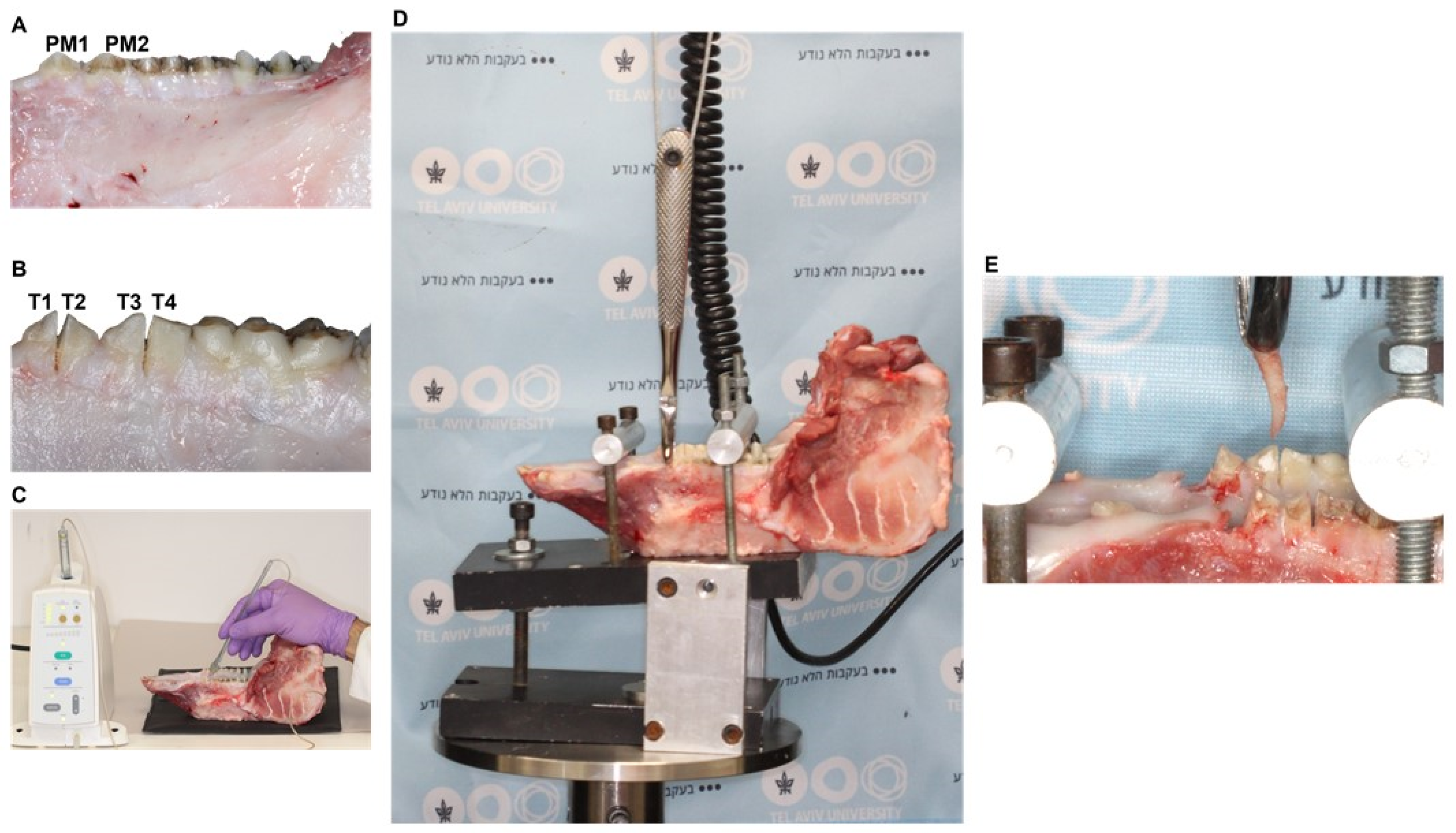 Jfb 13 00076 g001 550