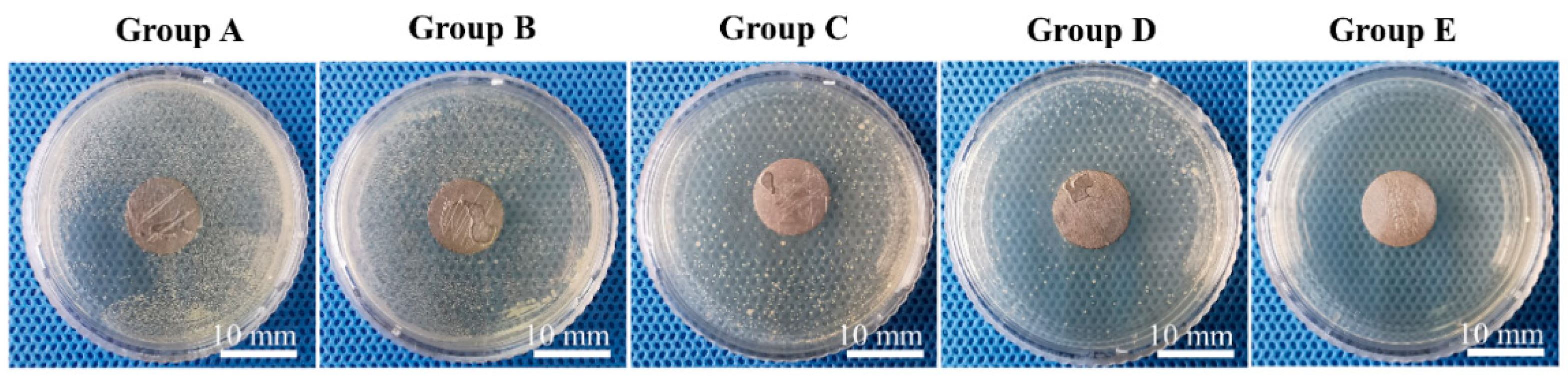 Jfb 13 00078 g003 550