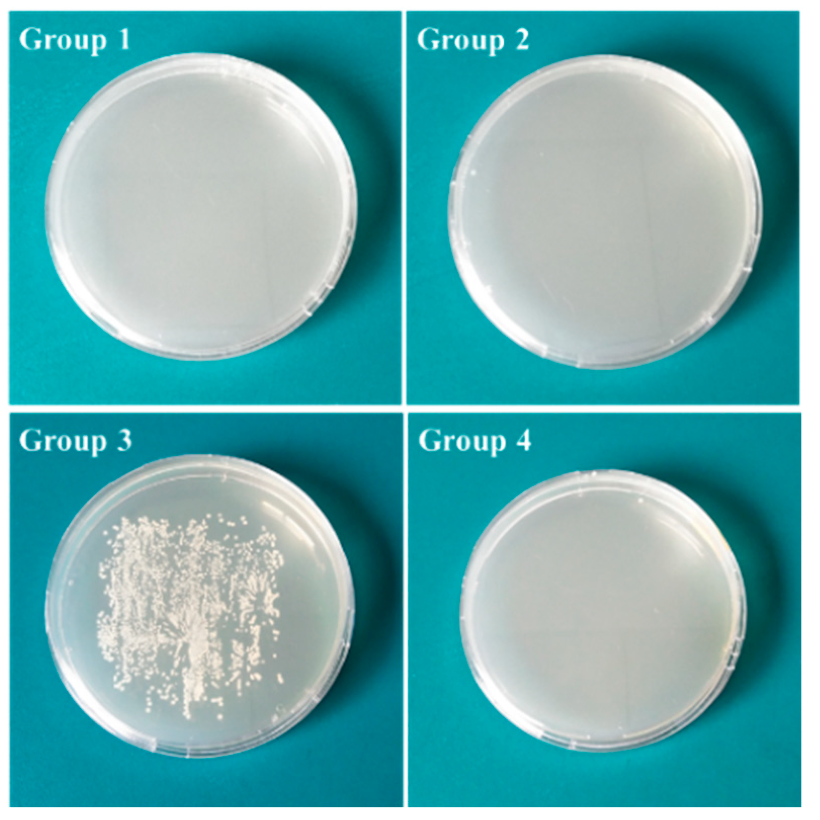 Jfb 13 00078 g007 550