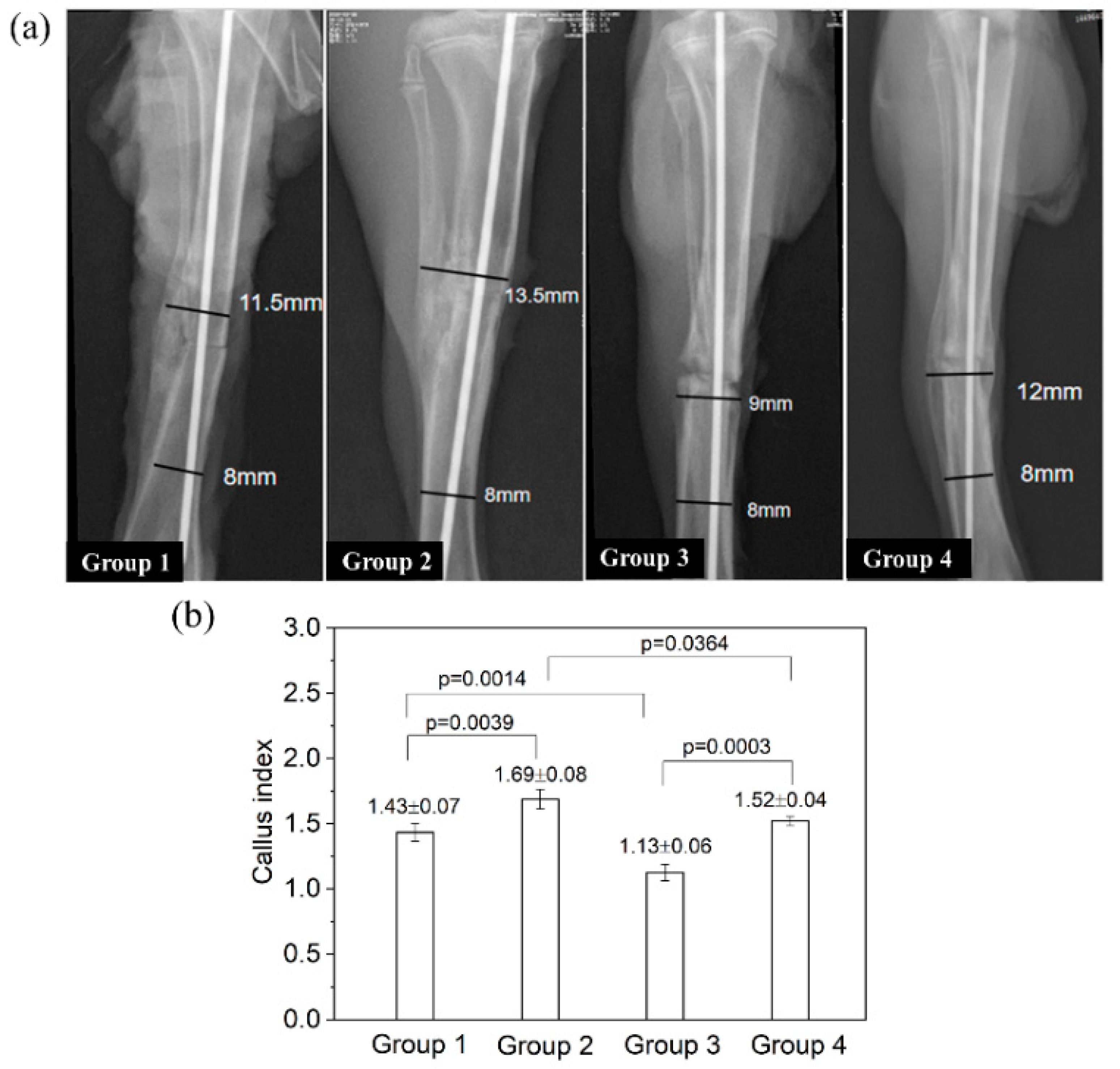Jfb 13 00078 g008 550