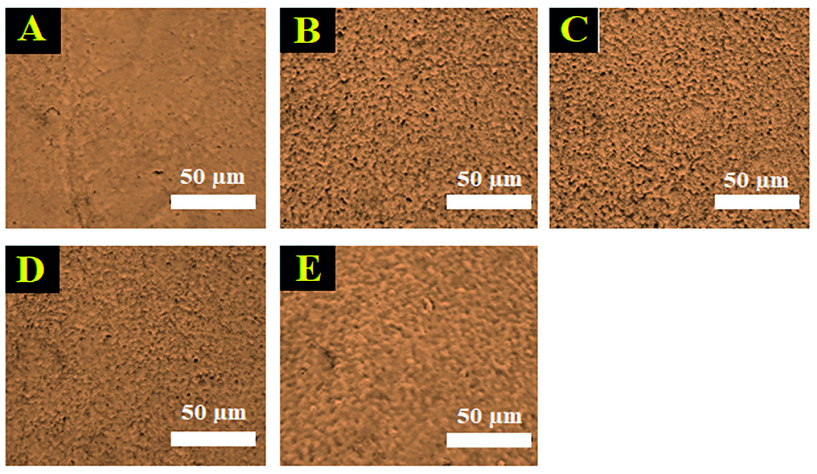 Jfb 13 00080 g003 550