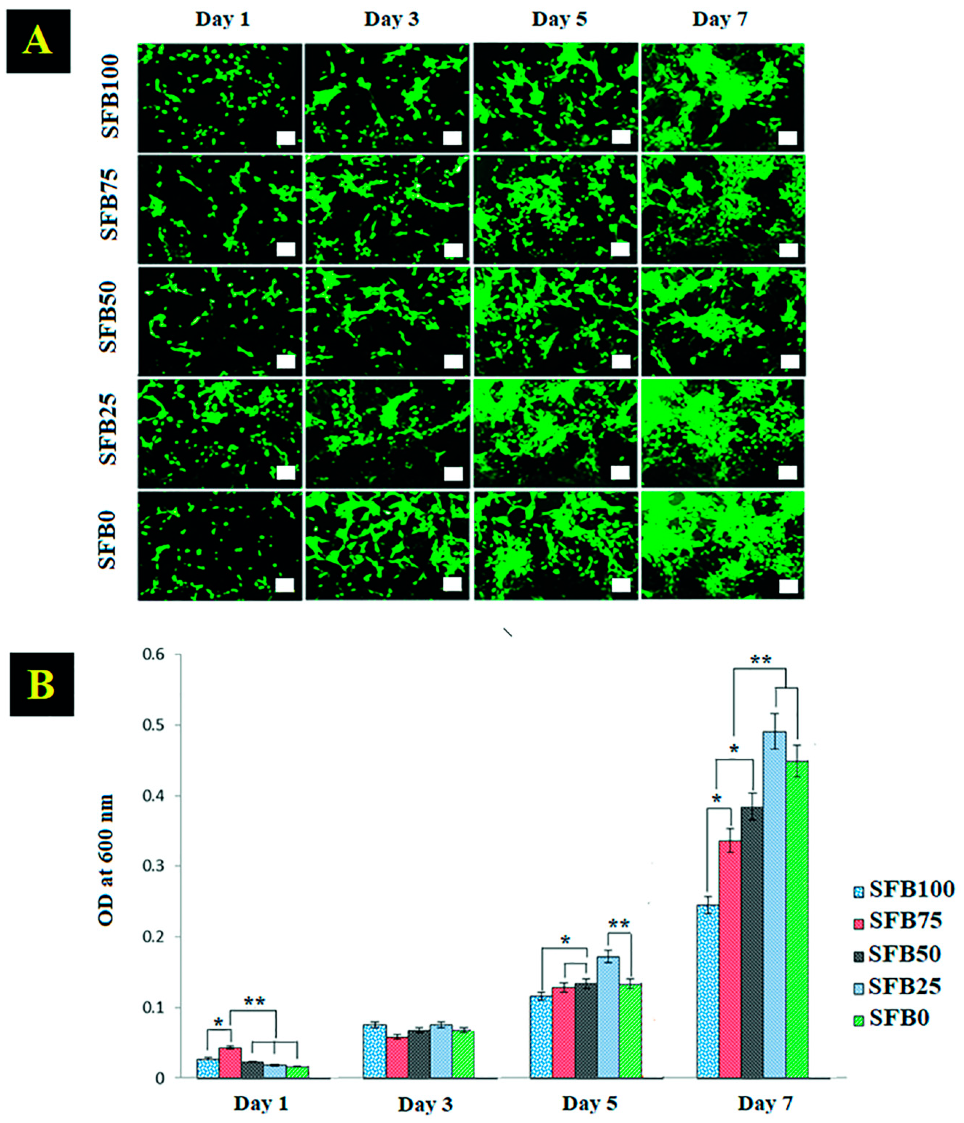 Jfb 13 00080 g009 550