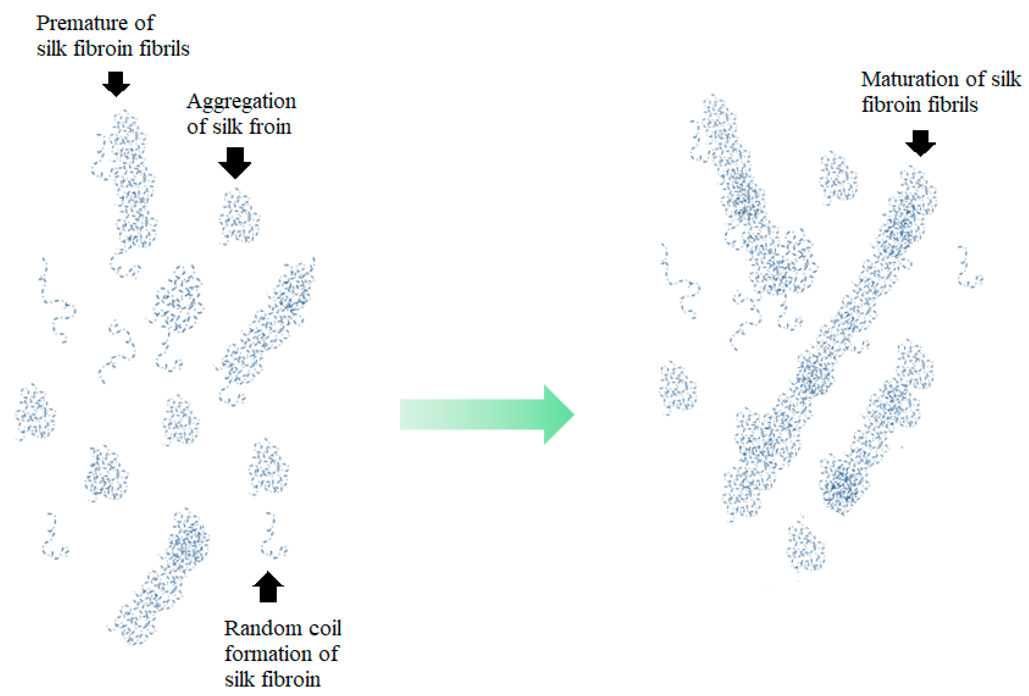Jfb 13 00080 g011 550
