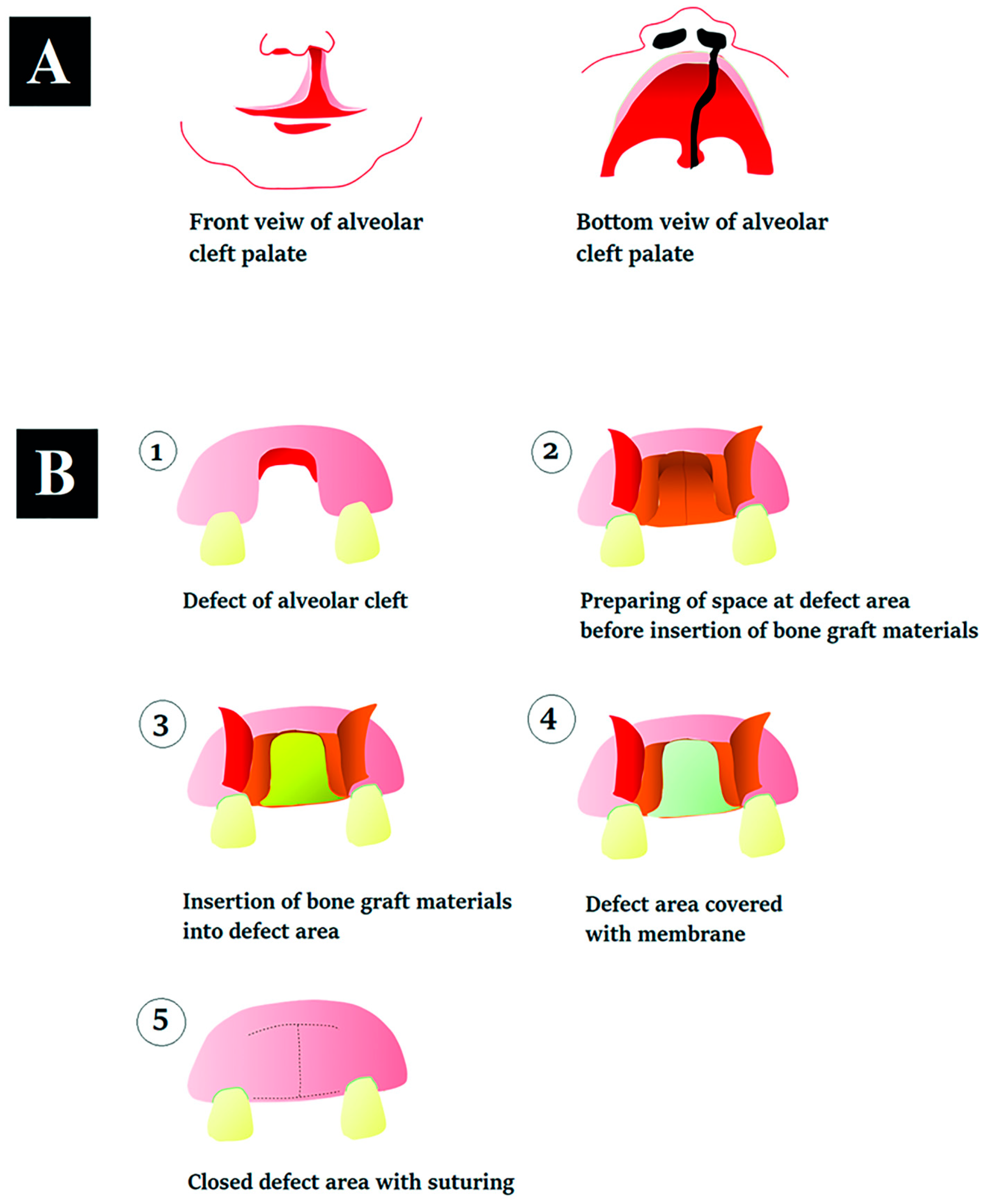 Jfb 13 00080 g012 550