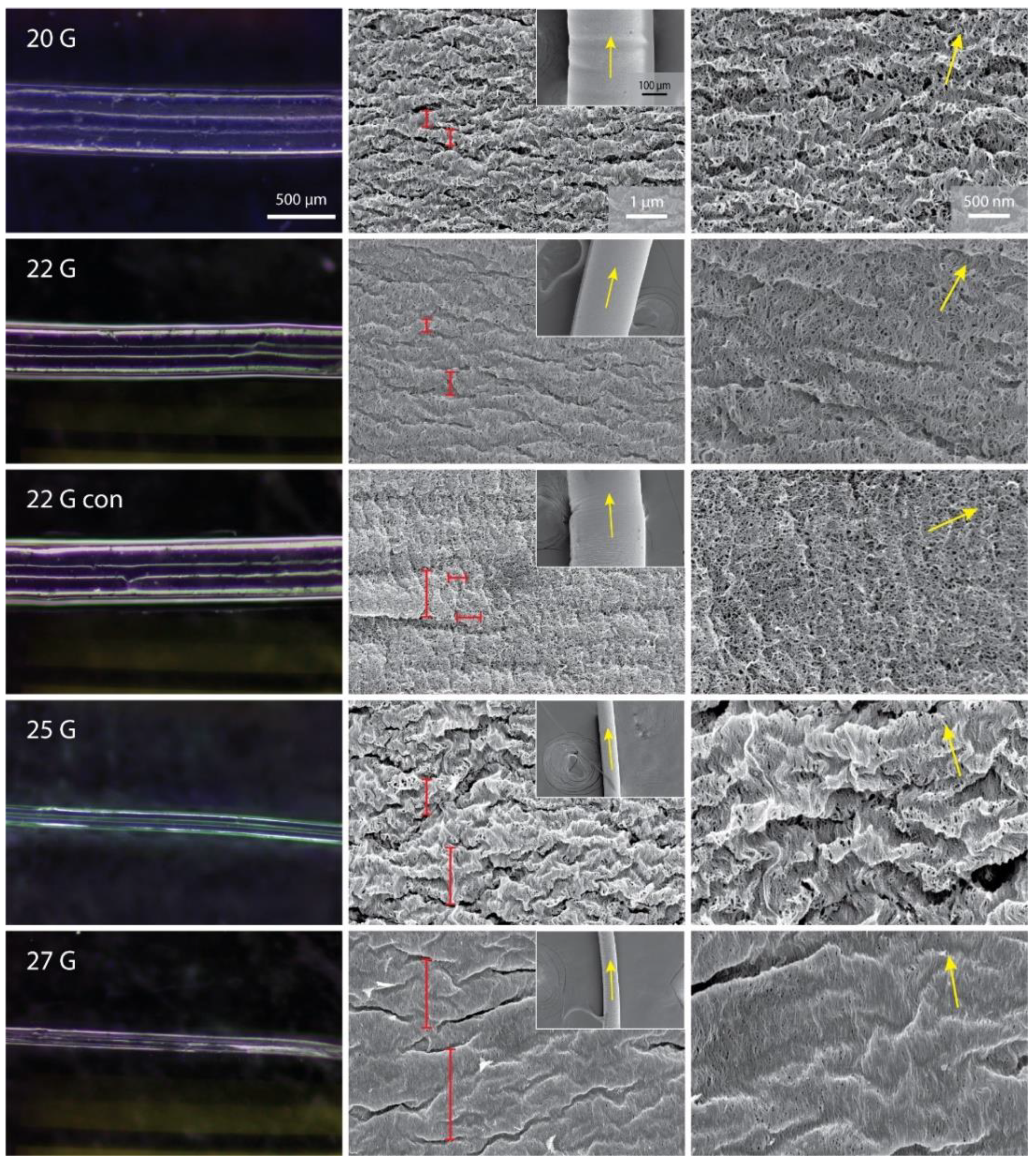 Jfb 13 00083 g002 550