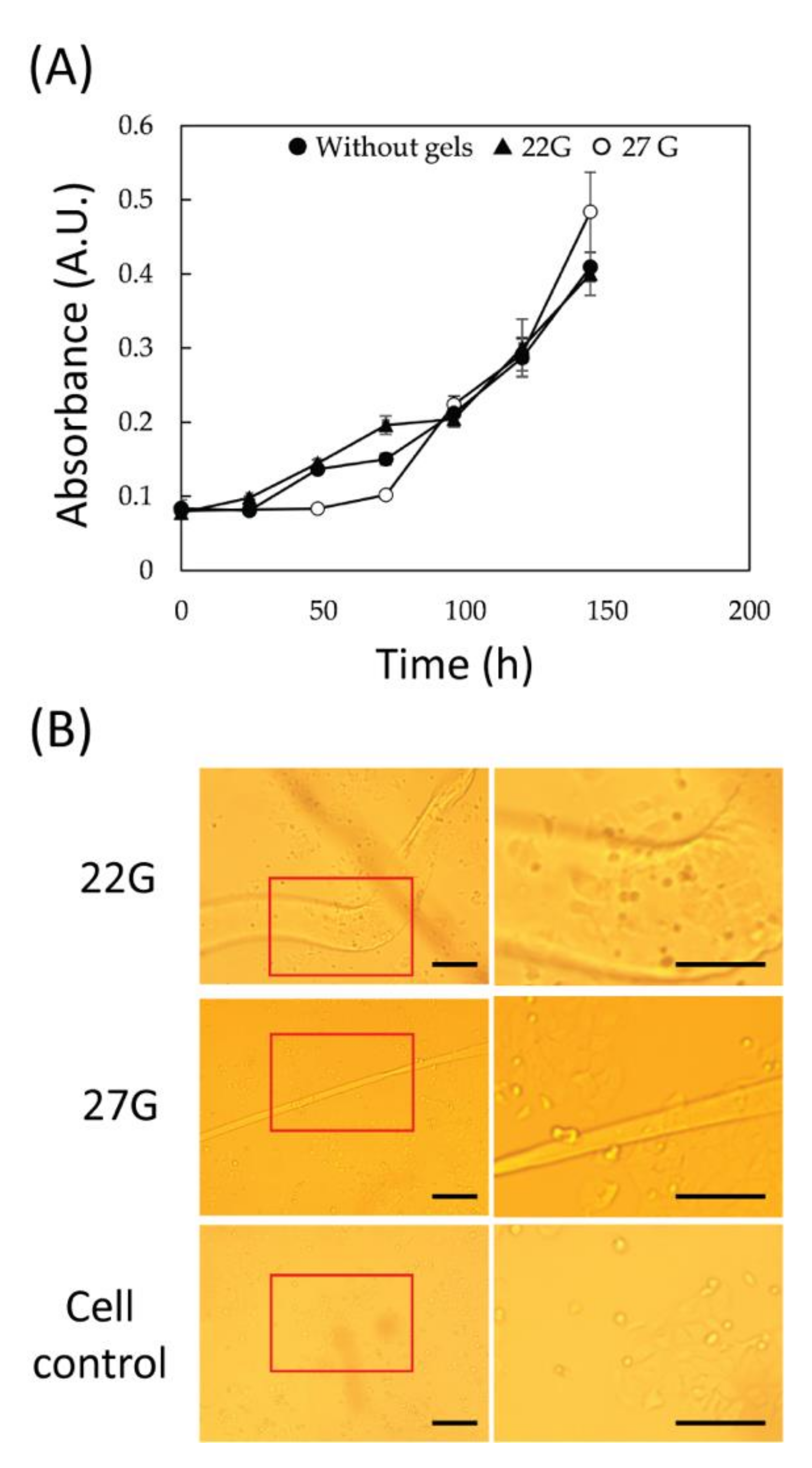 Jfb 13 00083 g004 550