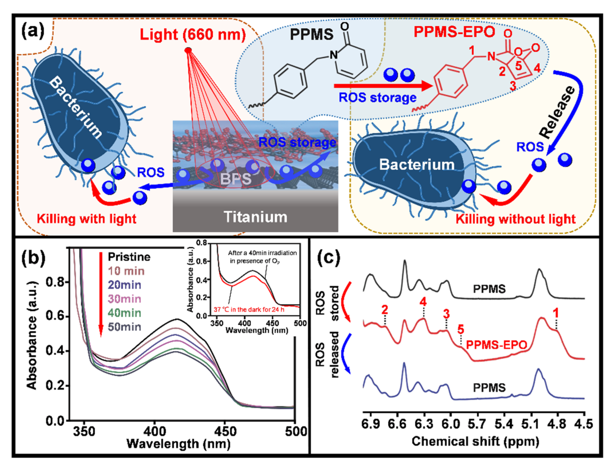 Jfb 13 00086 g006 Jfb 13 00086 g006