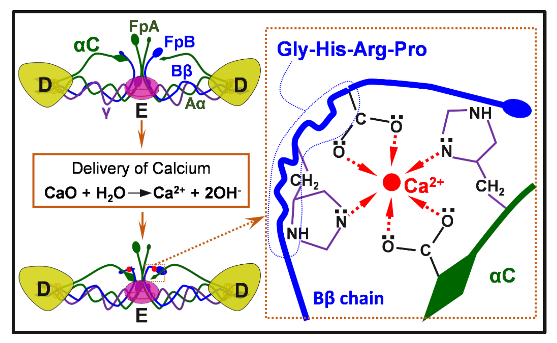 Jfb 13 00086 g008 Jfb 13 00086 g008