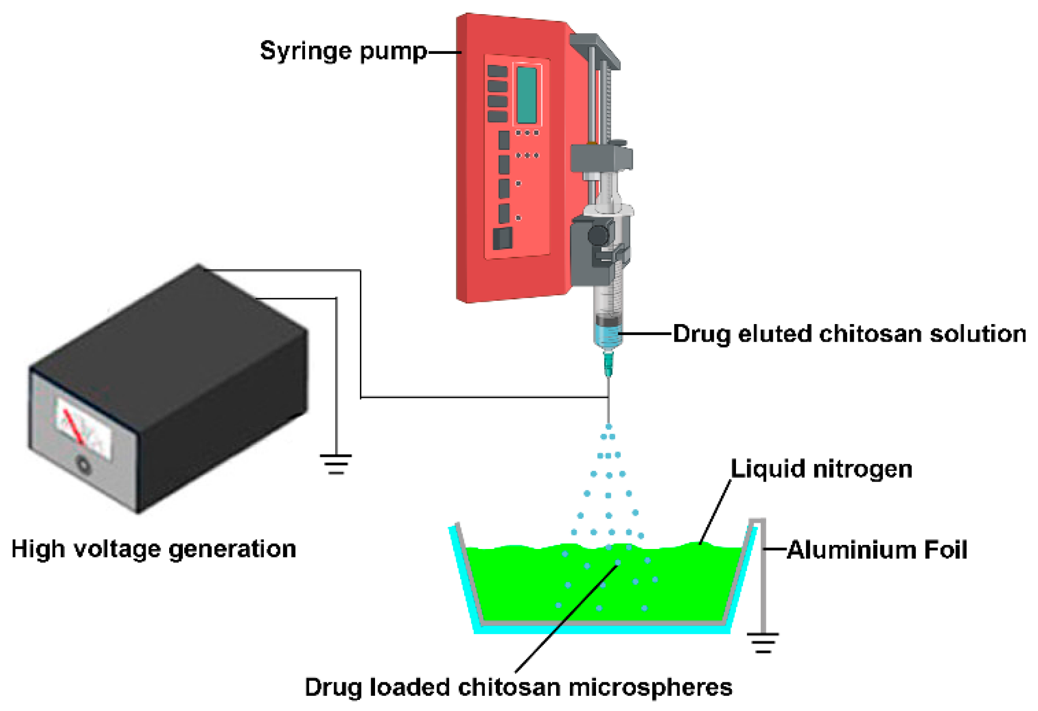 Jfb 13 00091 g001 550