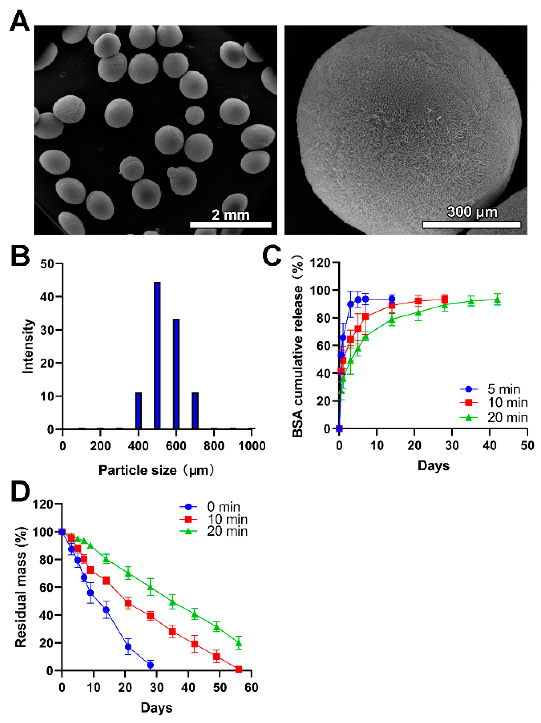 Jfb 13 00091 g002 550