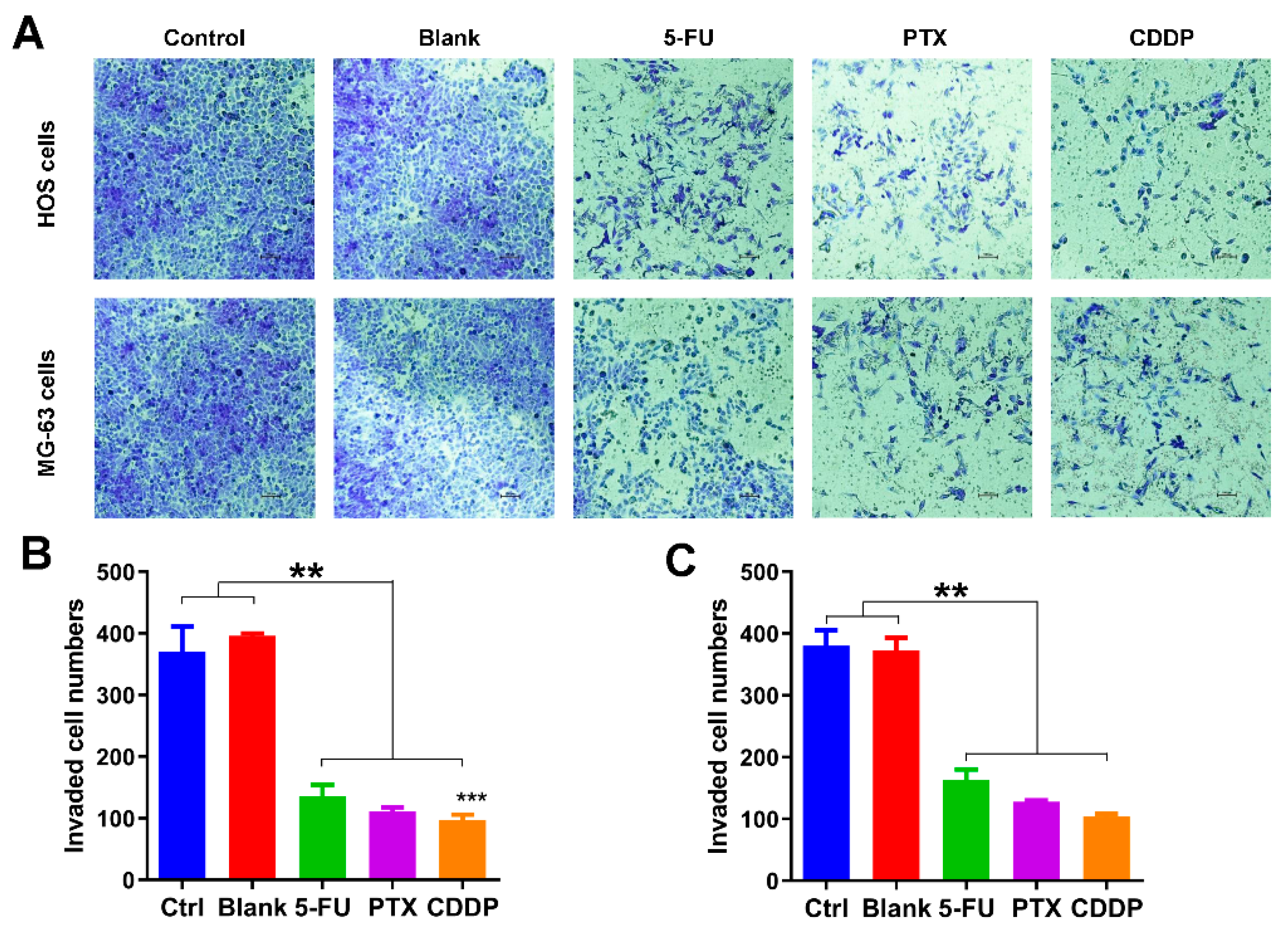 Jfb 13 00091 g005 550
