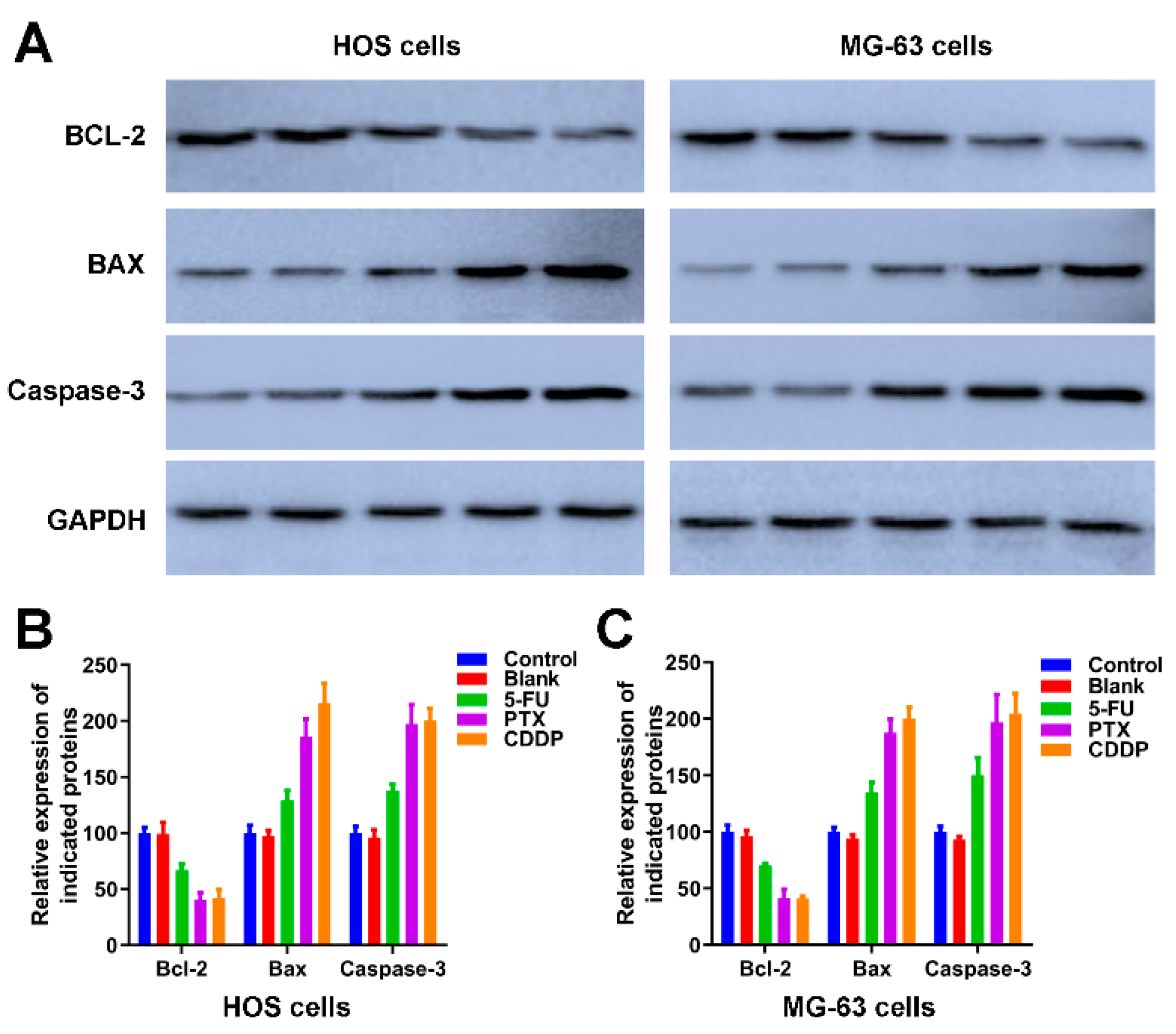 Jfb 13 00091 g007 550