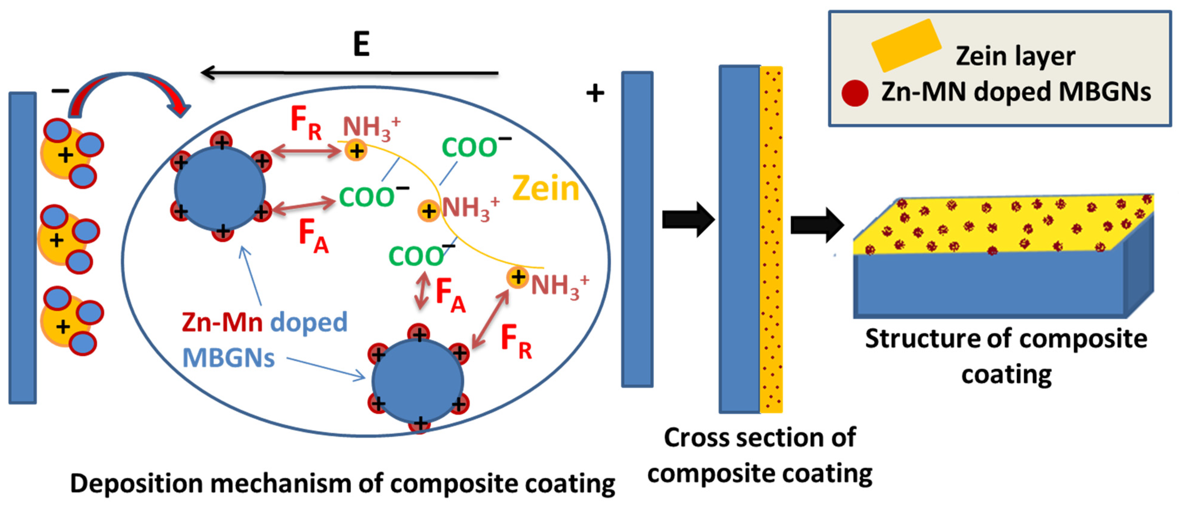 Jfb 13 00097 g003 550