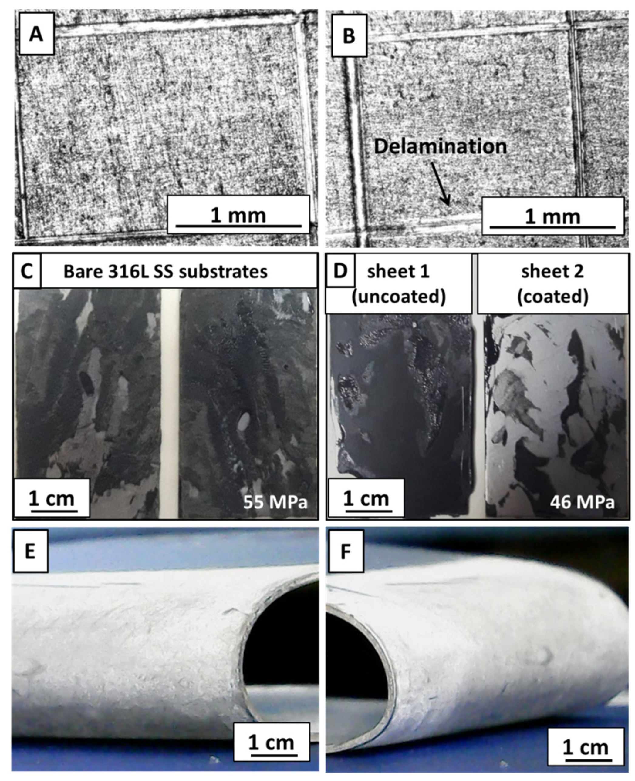 Jfb 13 00097 g007 550