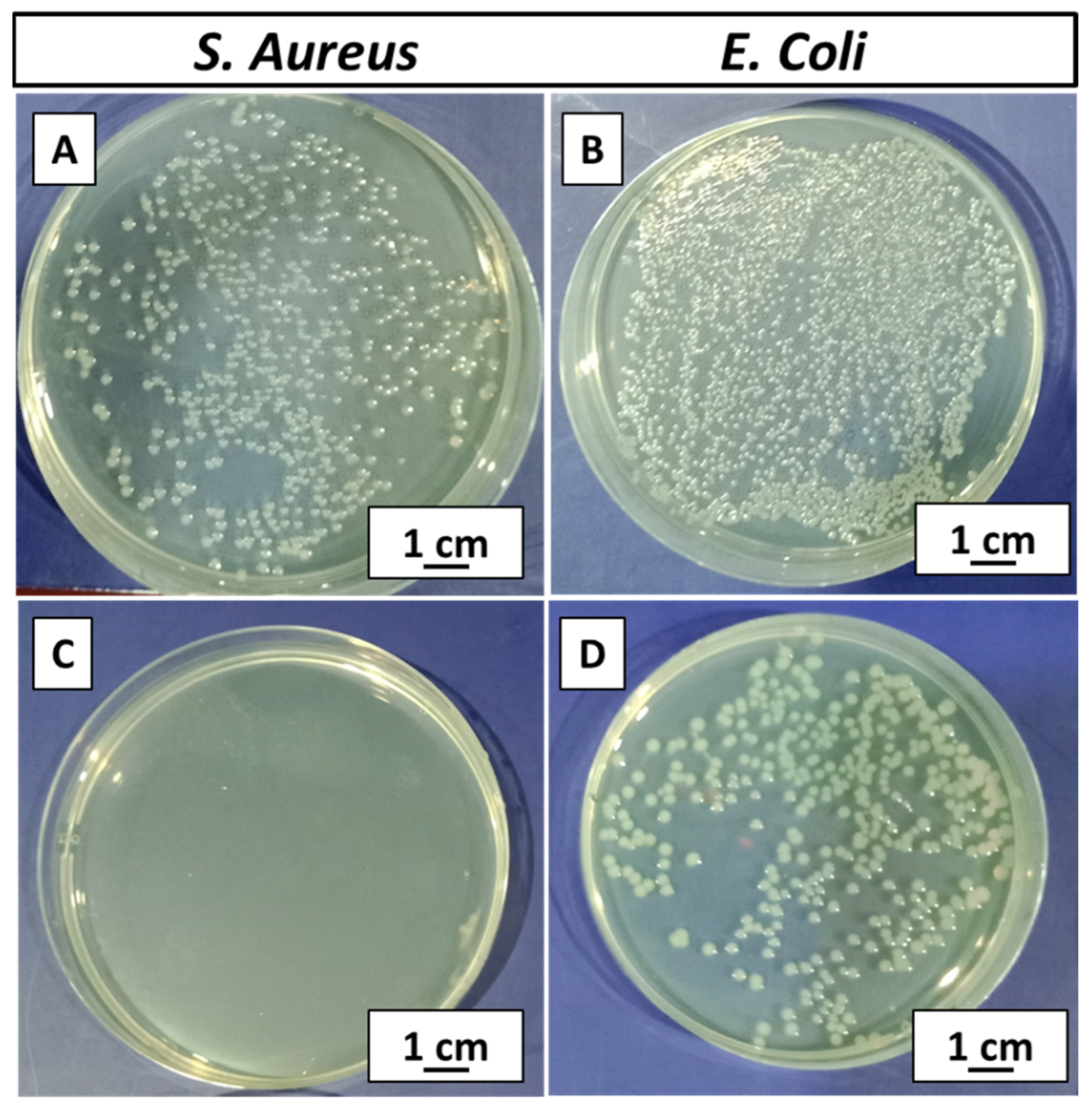 Jfb 13 00097 g011 550