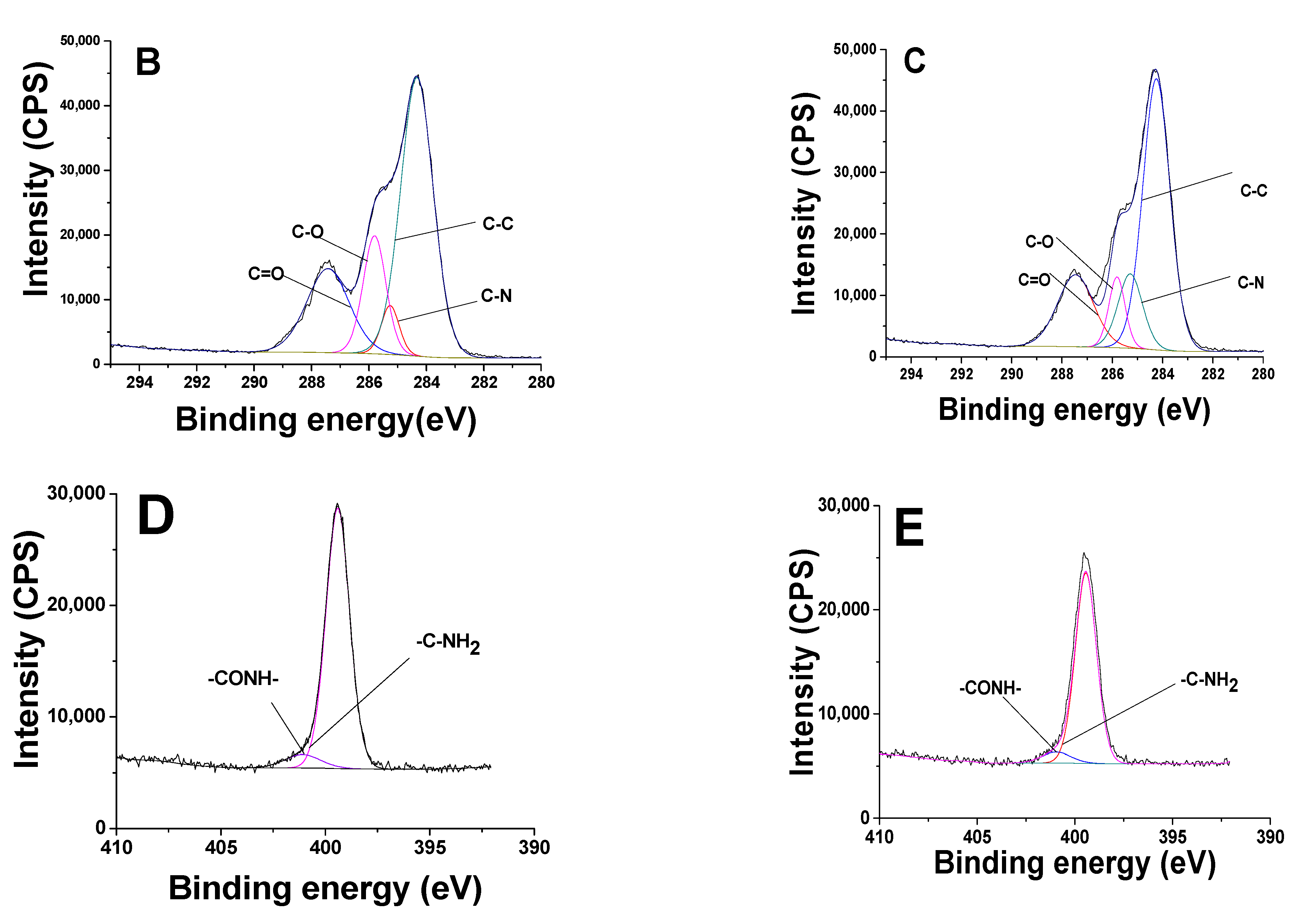 Jfb 13 00098 g001b Jfb 13 00098 g001b