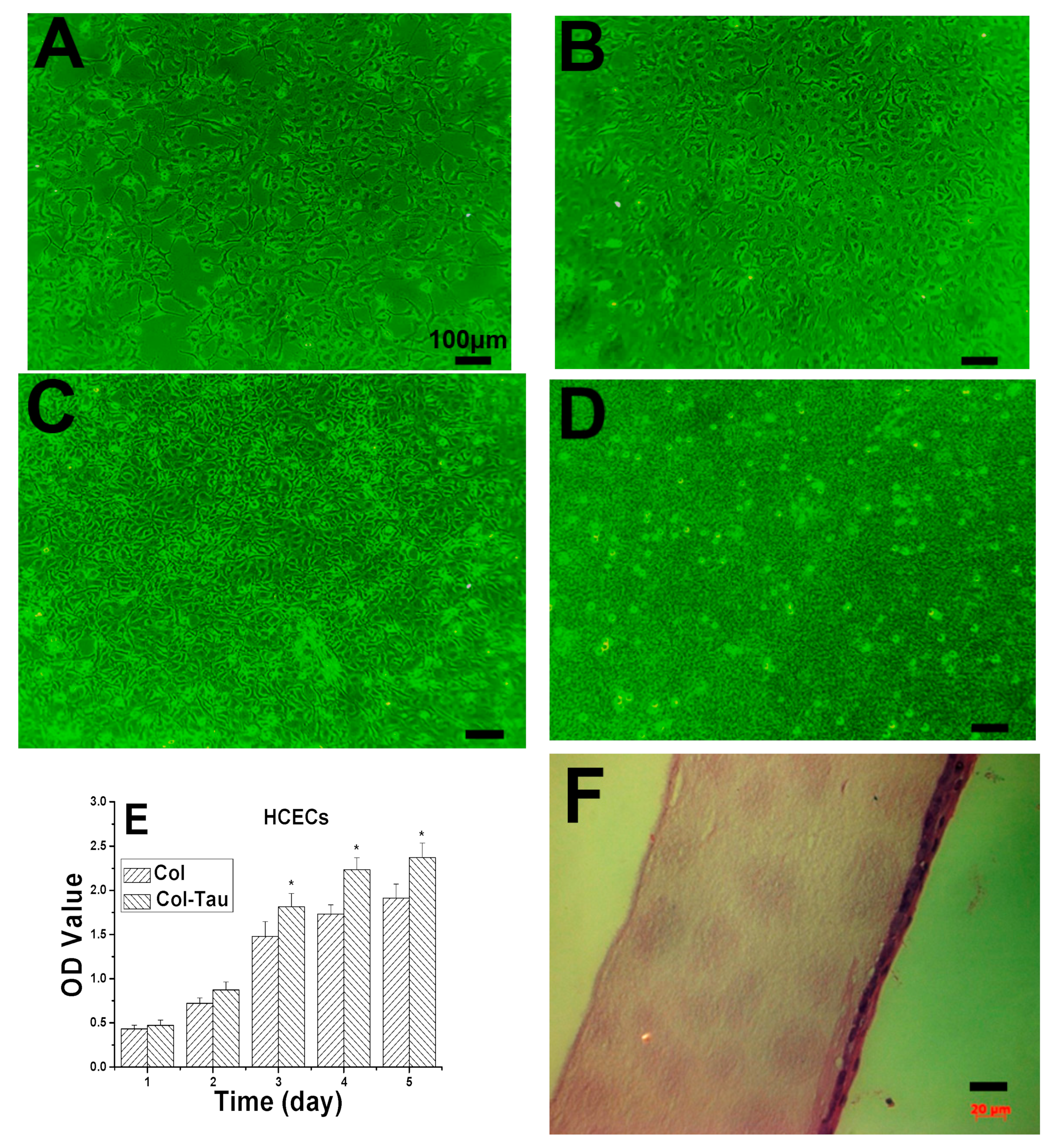Jfb 13 00098 g008 Jfb 13 00098 g008
