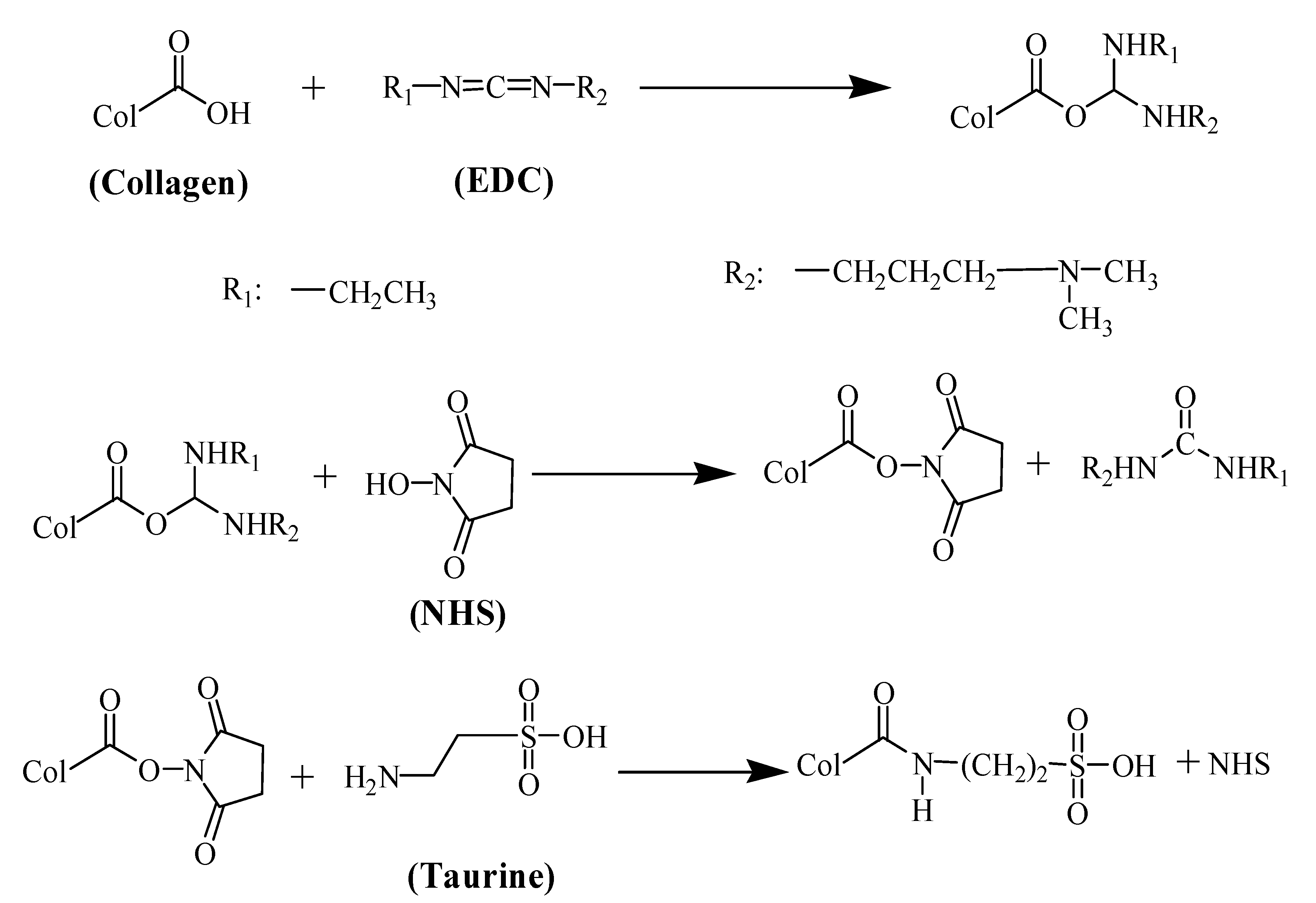 Jfb 13 00098 sch001 Jfb 13 00098 sch001