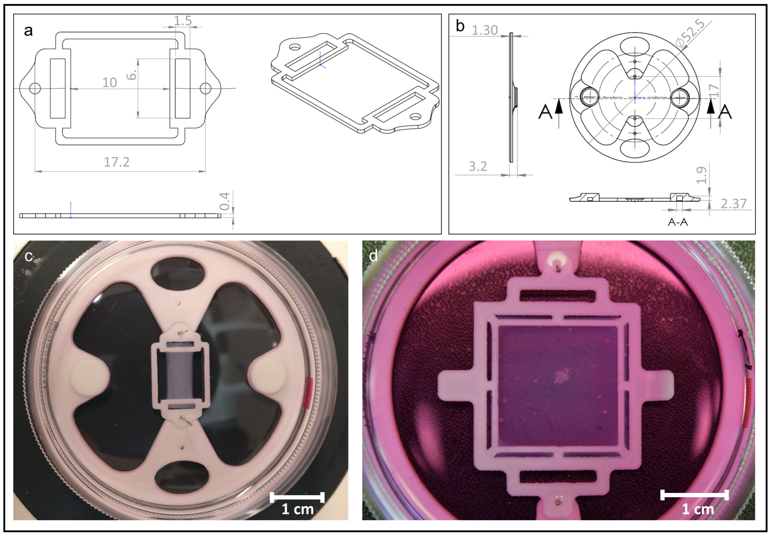 Jfb 13 00107 g001 550