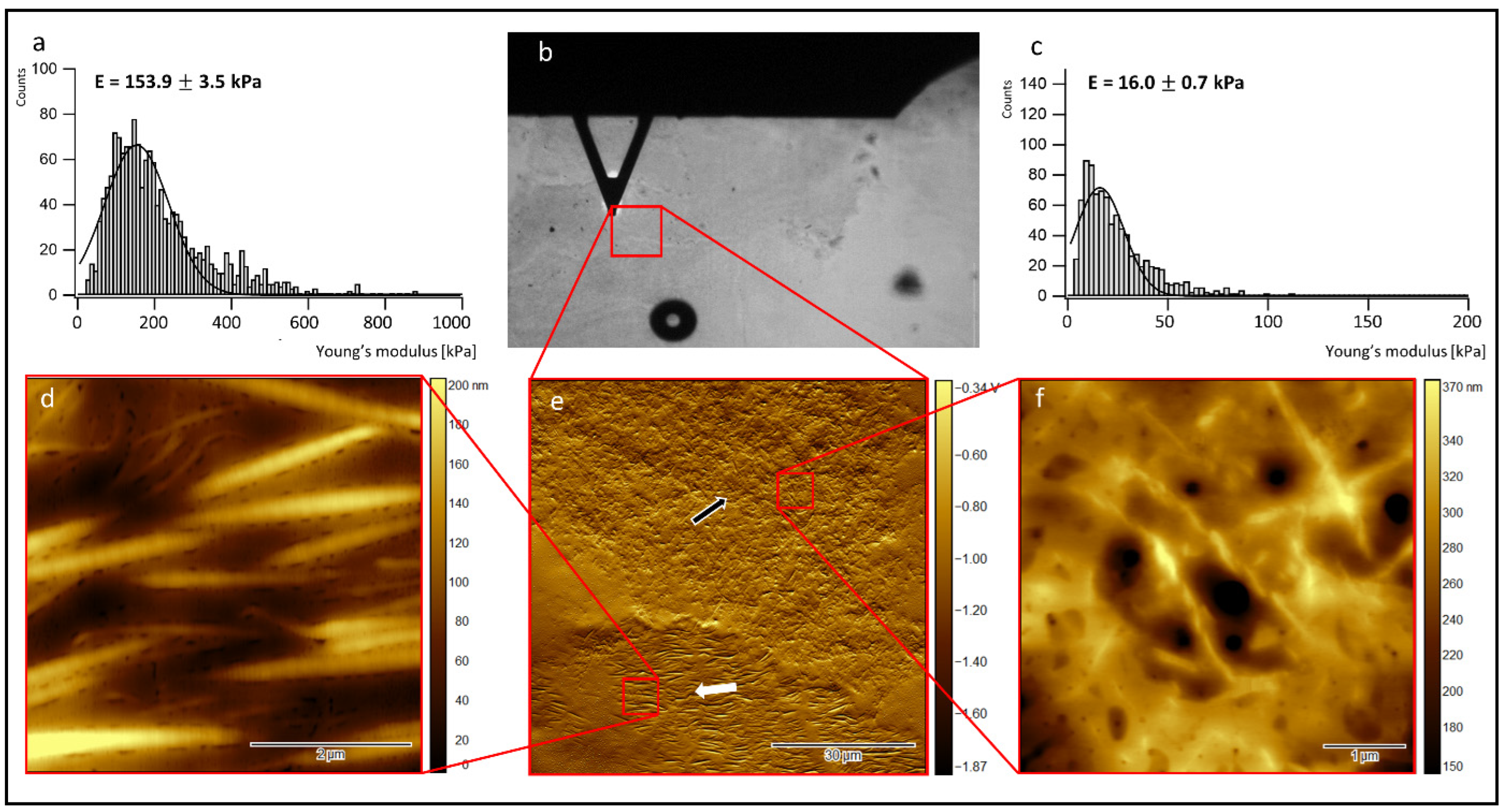 Jfb 13 00107 g005 550